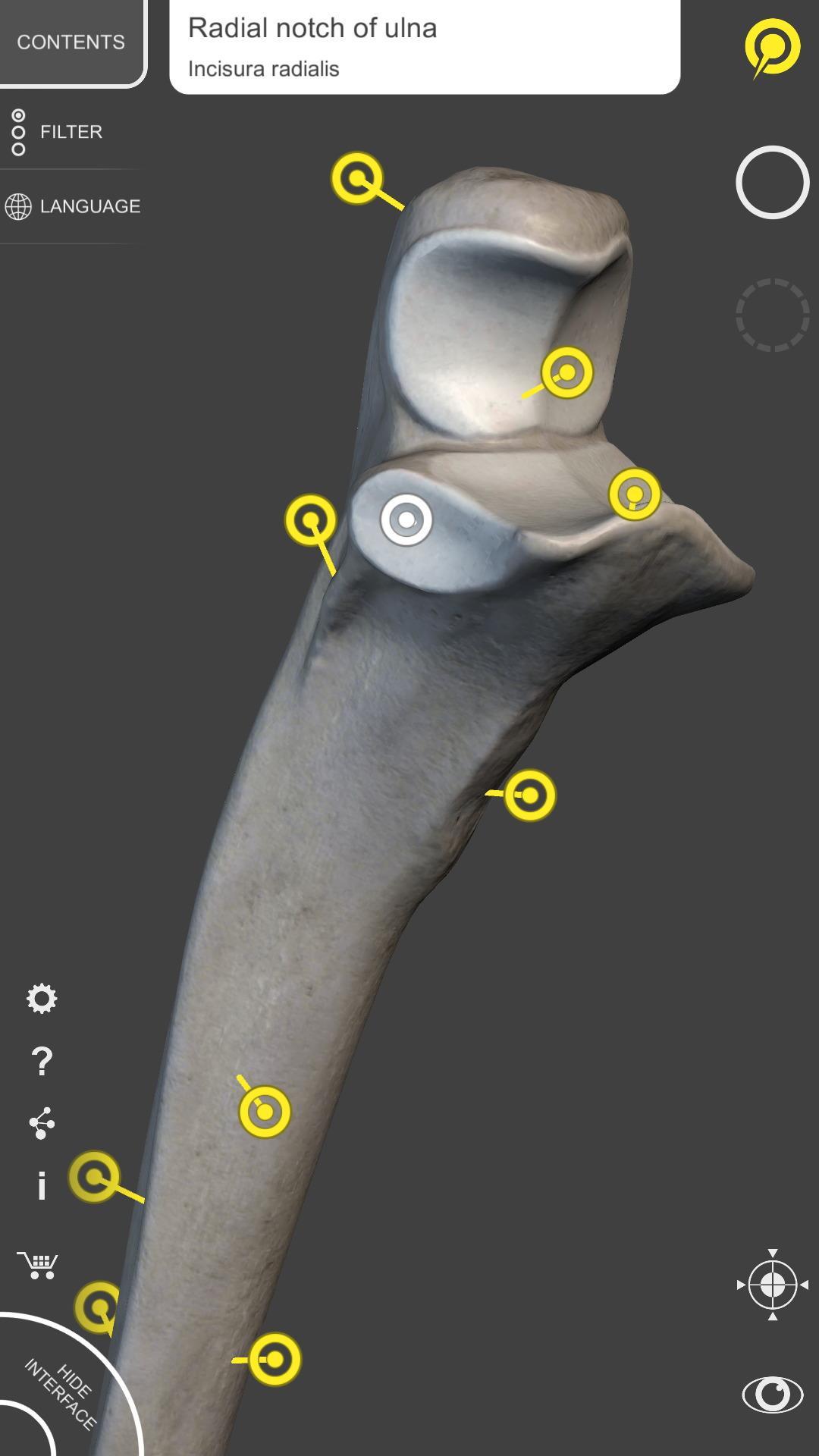 Skeleton | 3D Anatomy 2.5.3 Screenshot 5