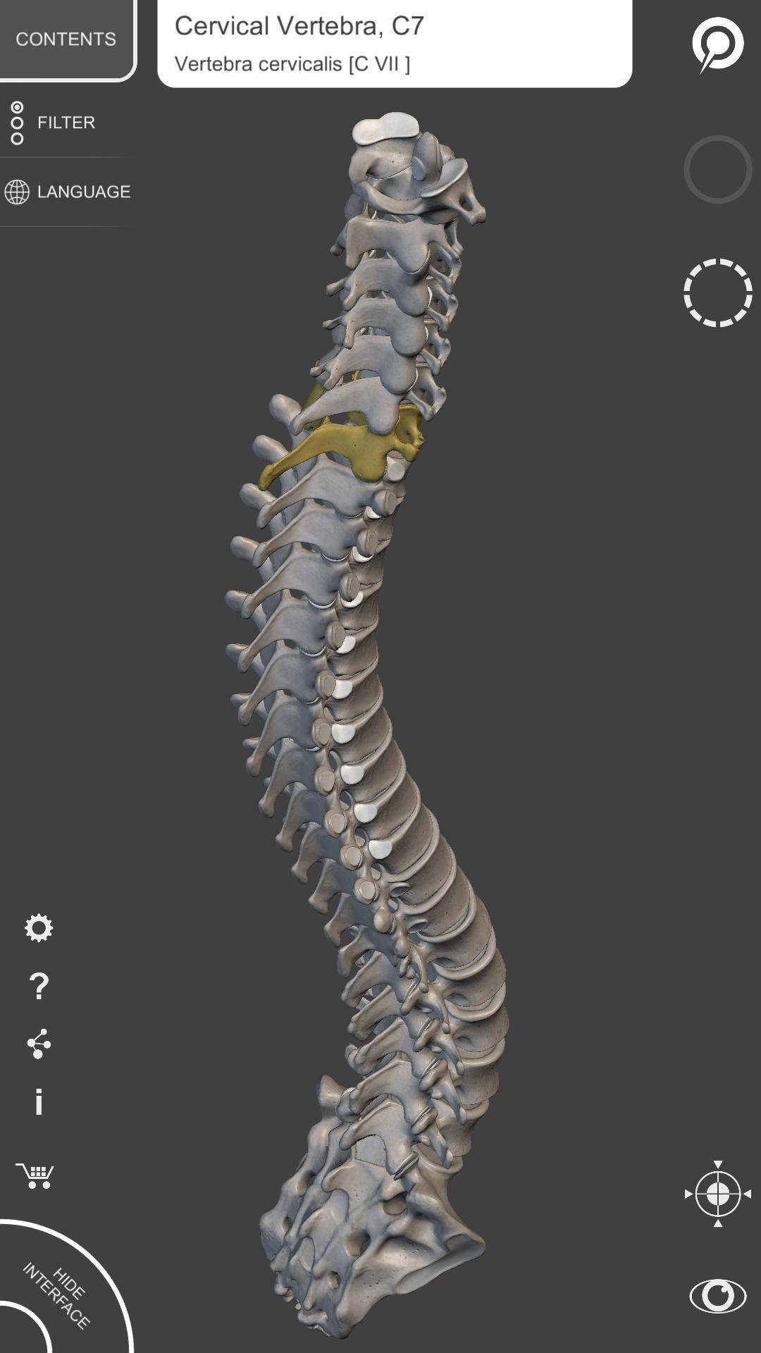 Skeleton | 3D Anatomy 2.5.3 Screenshot 6