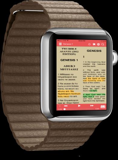 Twi Bible Audio 1.0.1.62 Screenshot 20
