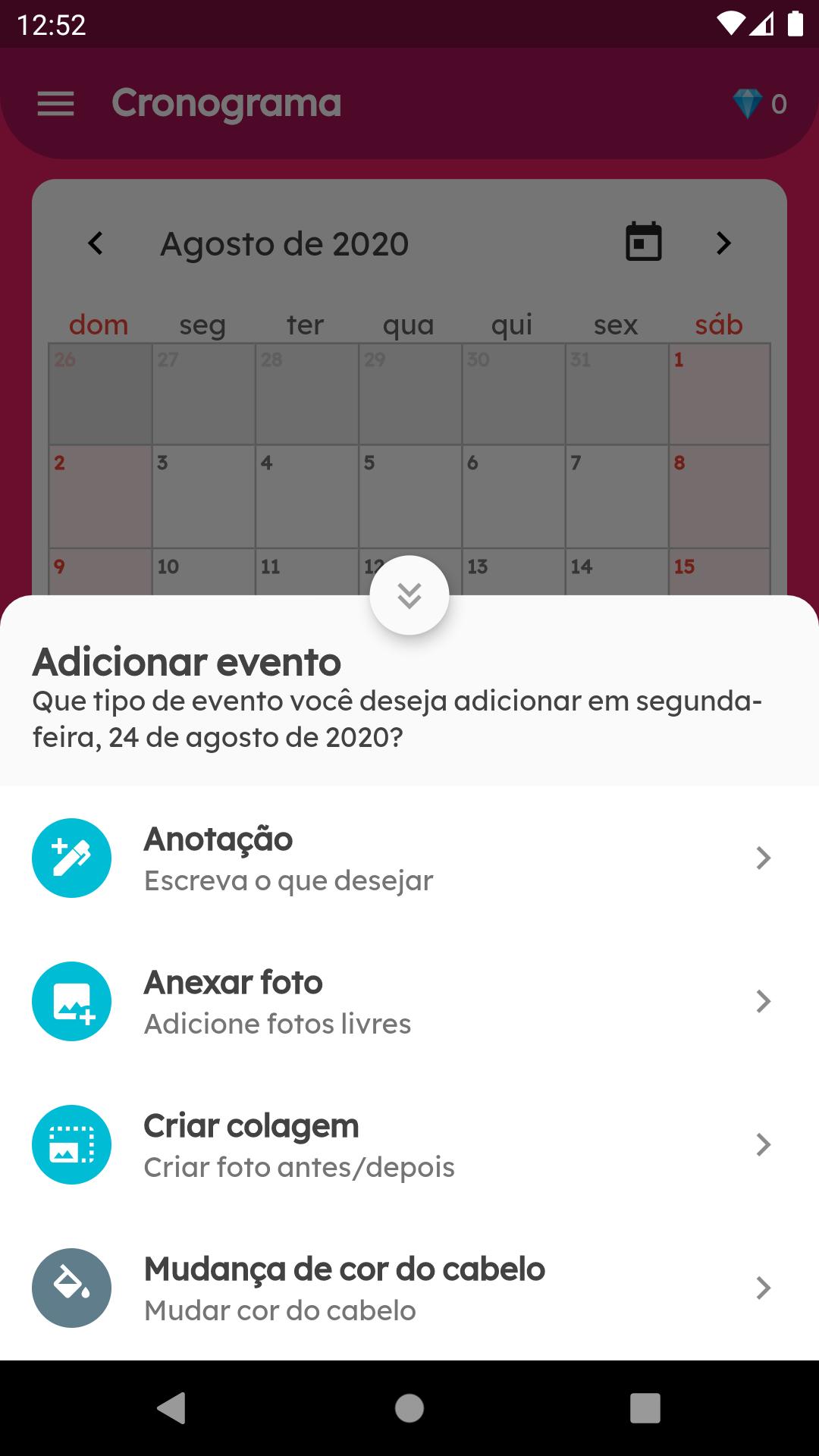 Meu Diário Capilar 1.2104.2922 Screenshot 7