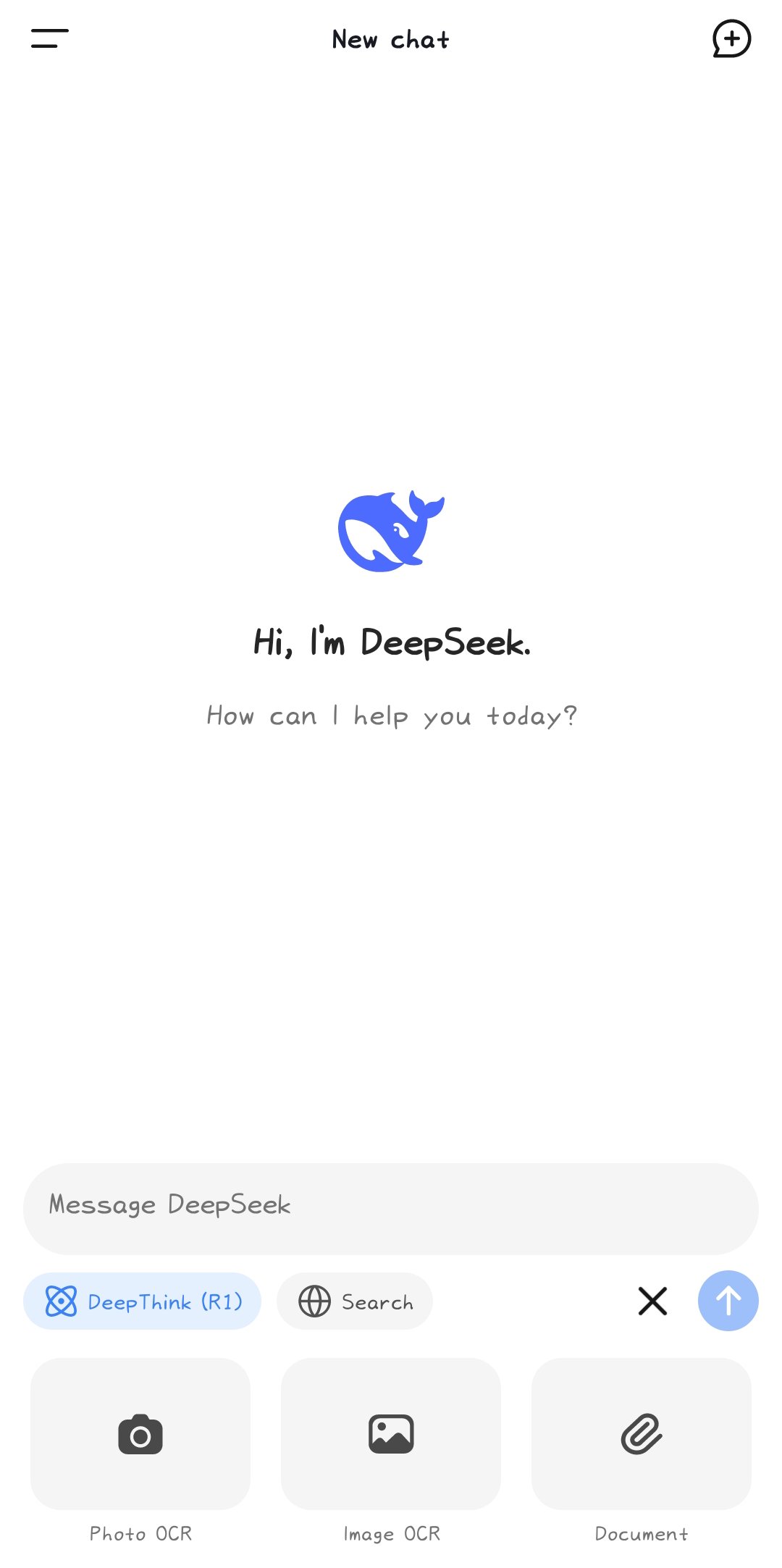 DeepSeek 2.3.6 Screenshot 4