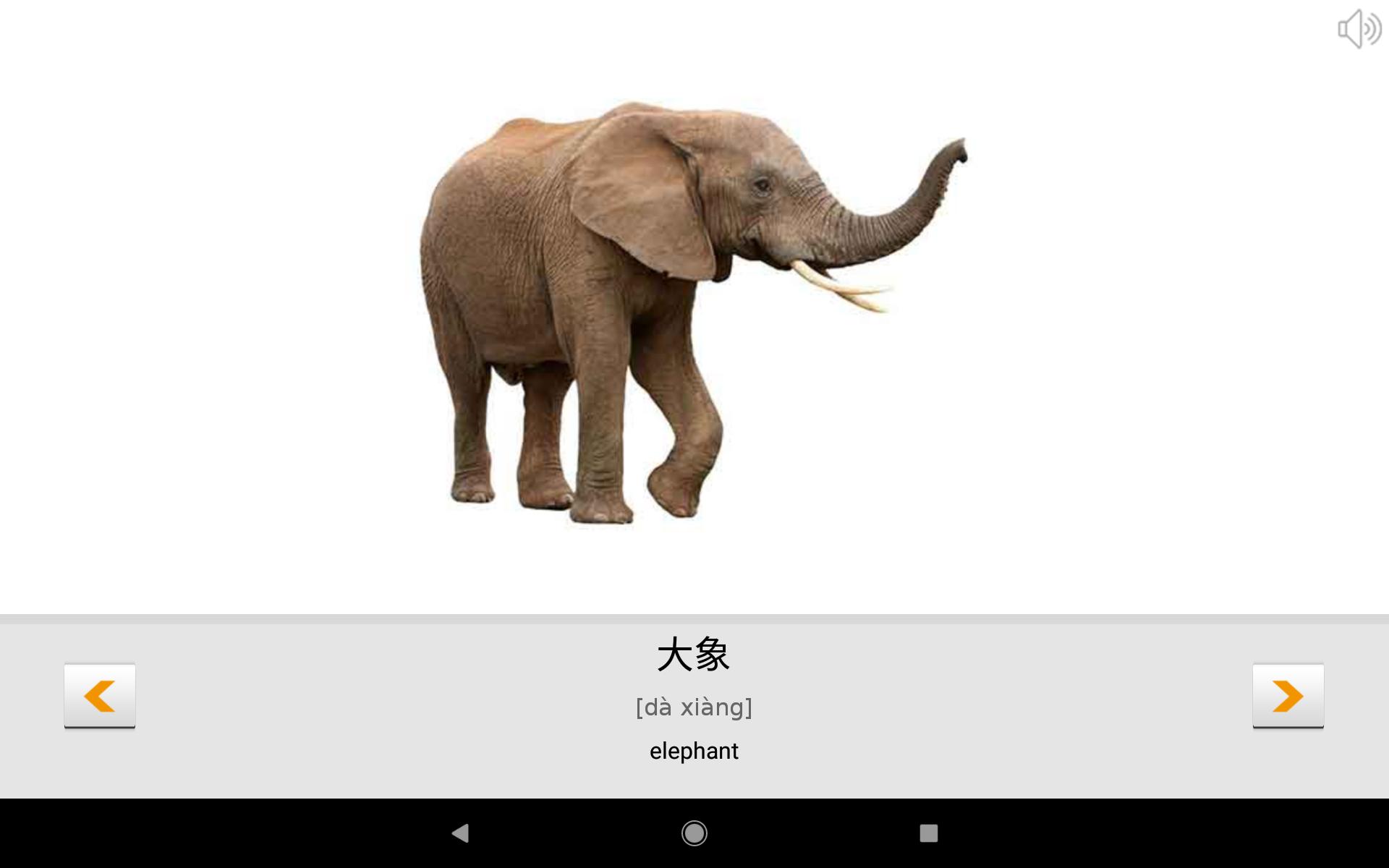 Learn Chinese words with Smart-Teacher 1.0.9 Screenshot 12