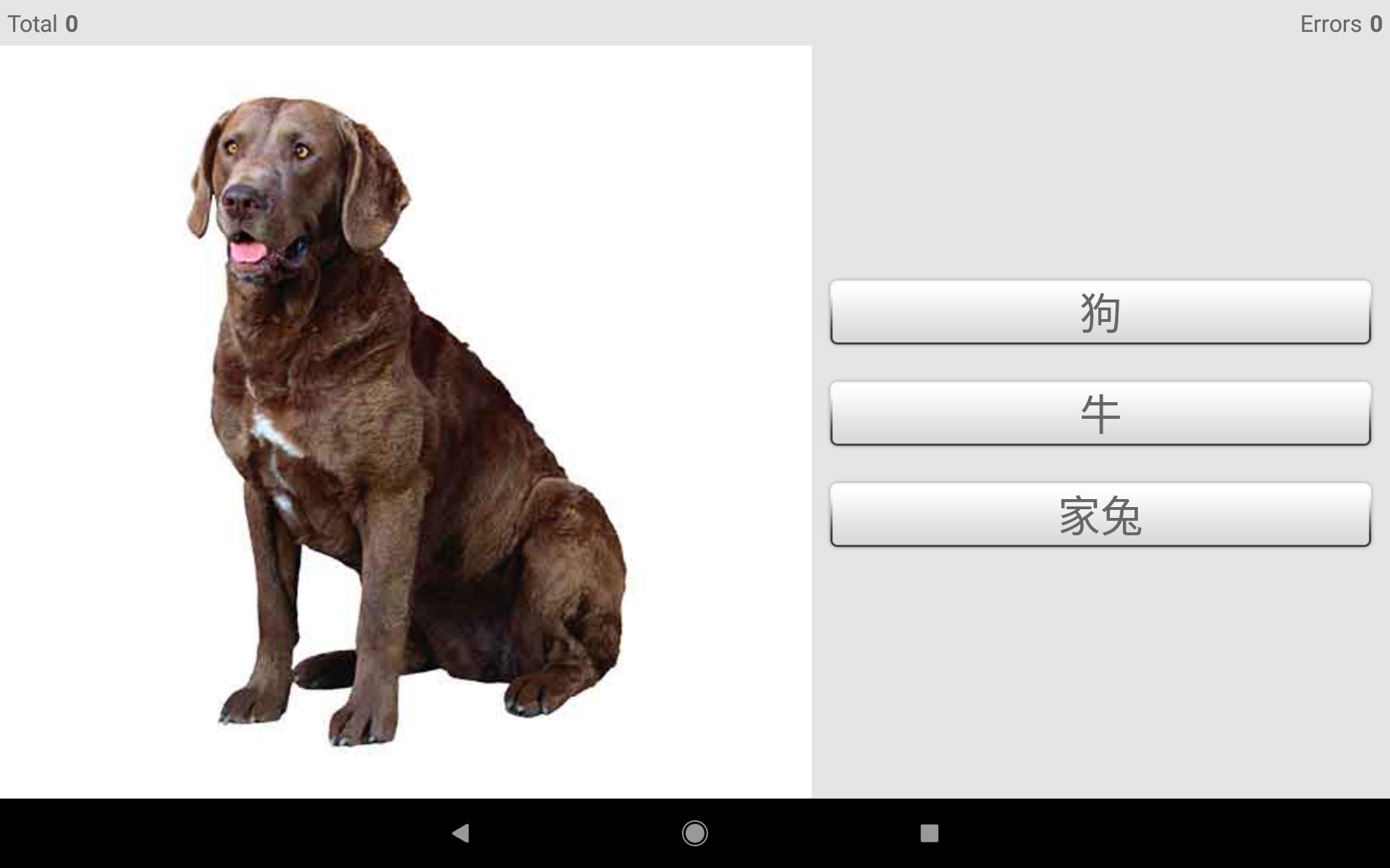 Learn Chinese words with Smart-Teacher 1.0.9 Screenshot 13