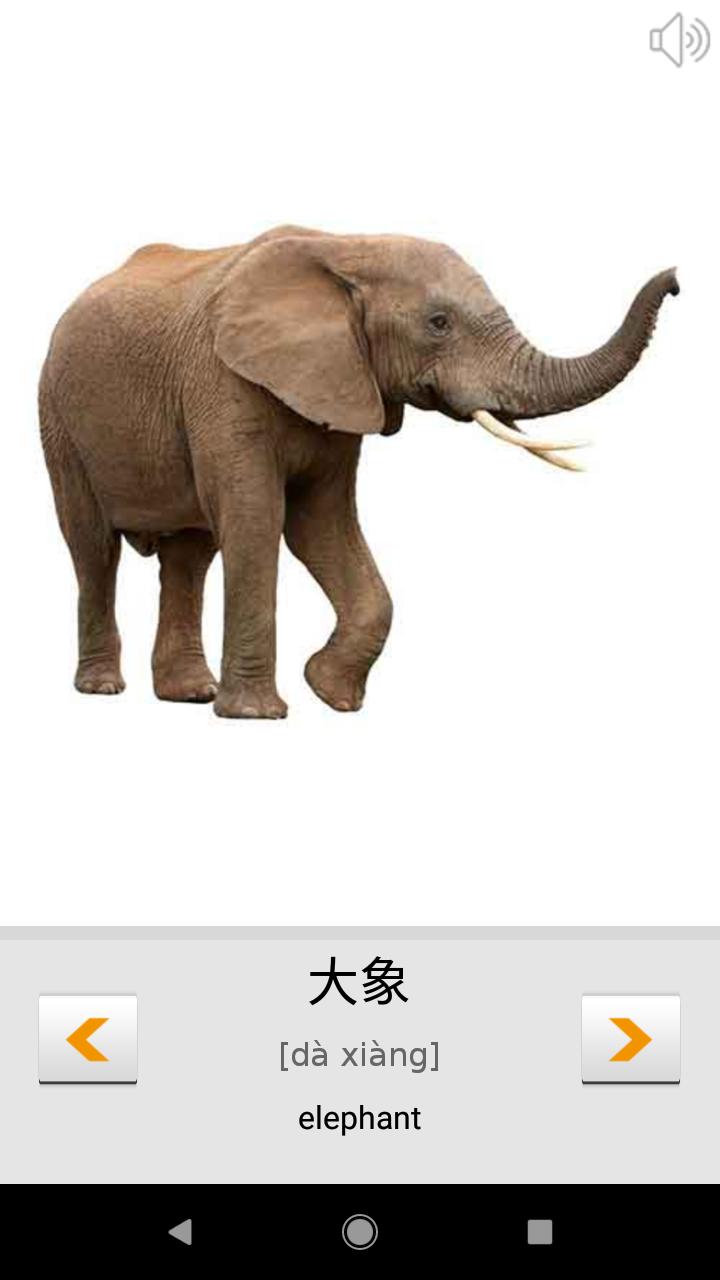 Learn Chinese words with Smart-Teacher 1.0.9 Screenshot 3