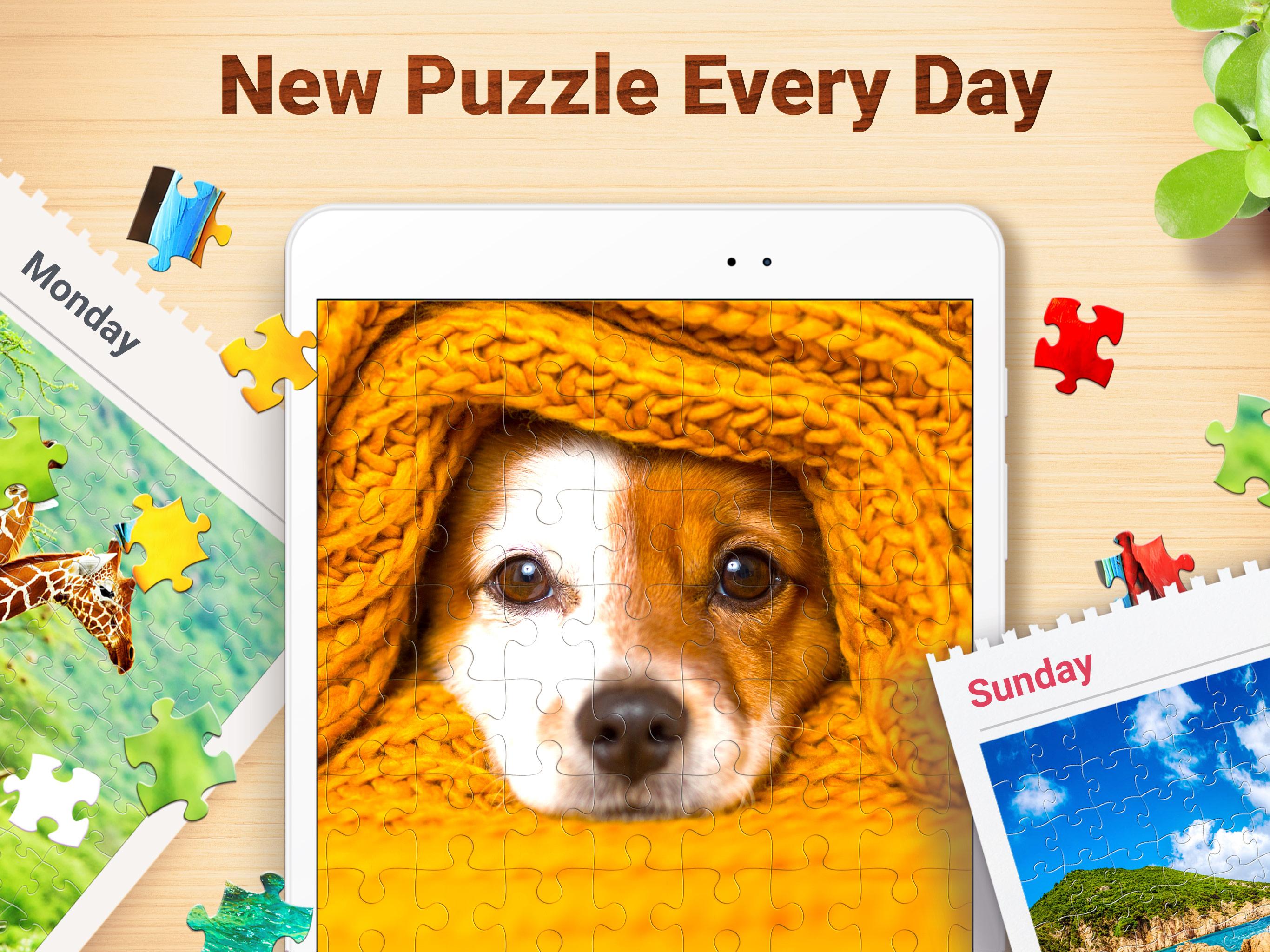Jigsaw Puzzles Puzzle Game 2.2.3 Screenshot 12