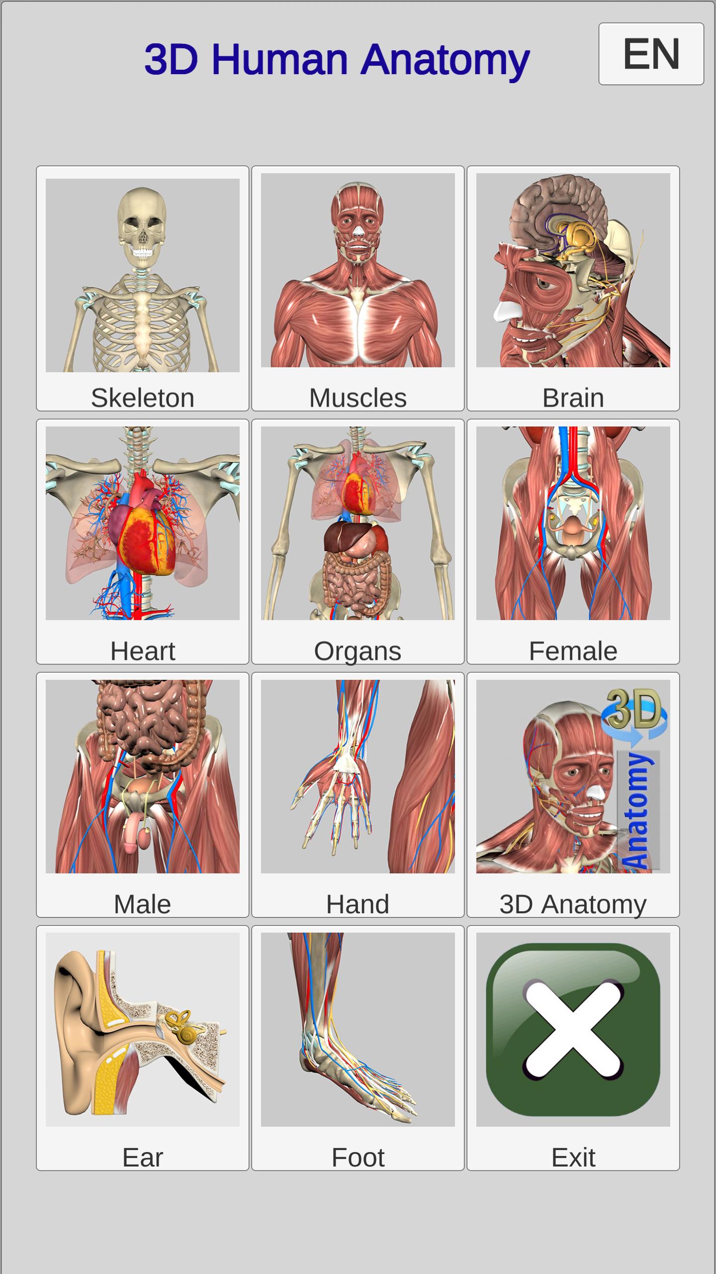 3D Bones and Organs (Anatomy) 4.1 Screenshot 1