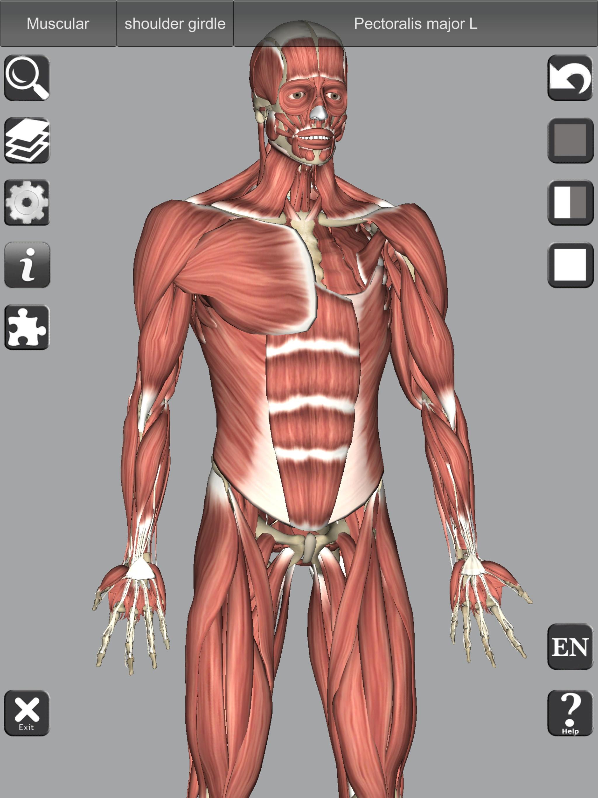 3D Bones and Organs (Anatomy) 4.1 Screenshot 10