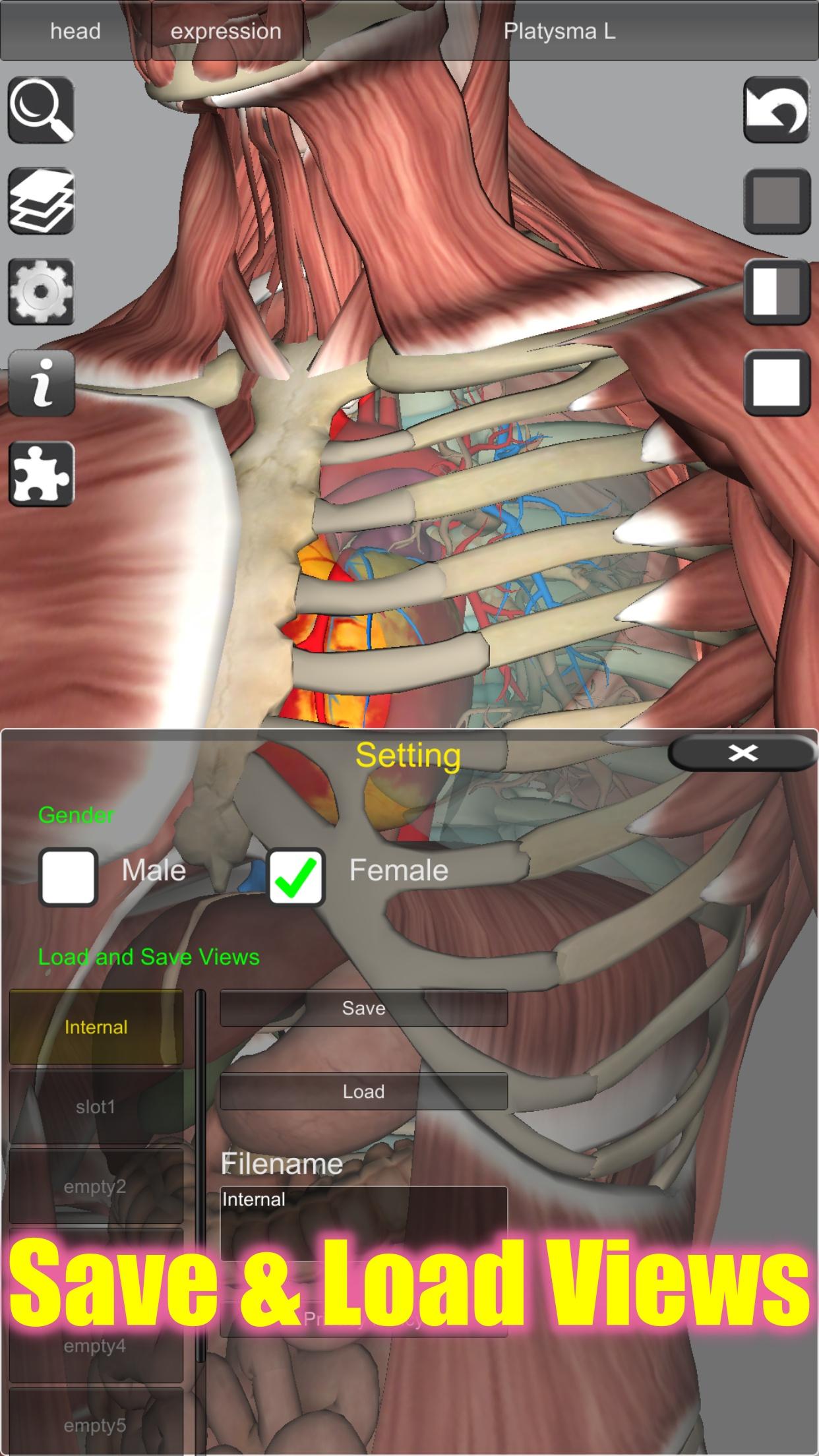 3D Bones and Organs (Anatomy) 4.1 Screenshot 13