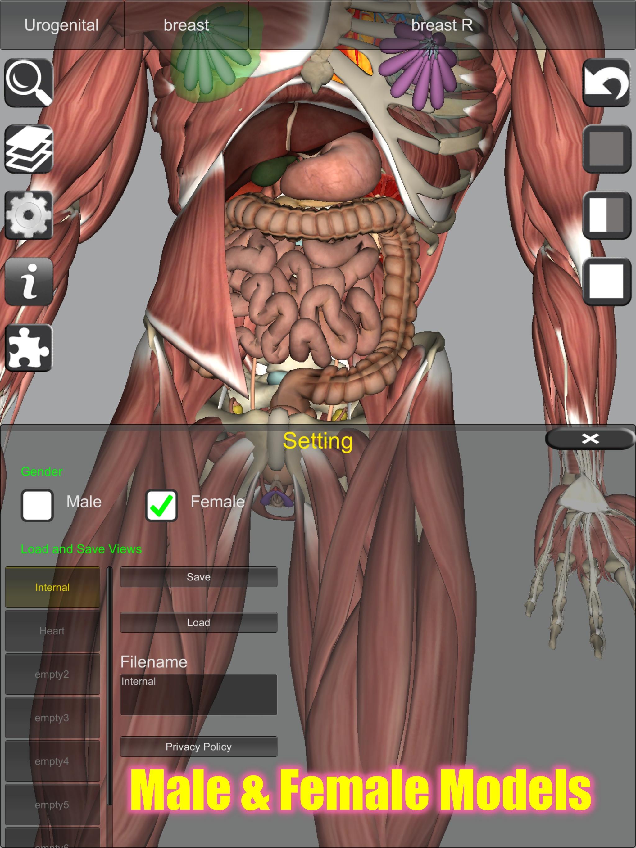 3D Bones and Organs (Anatomy) 4.1 Screenshot 14
