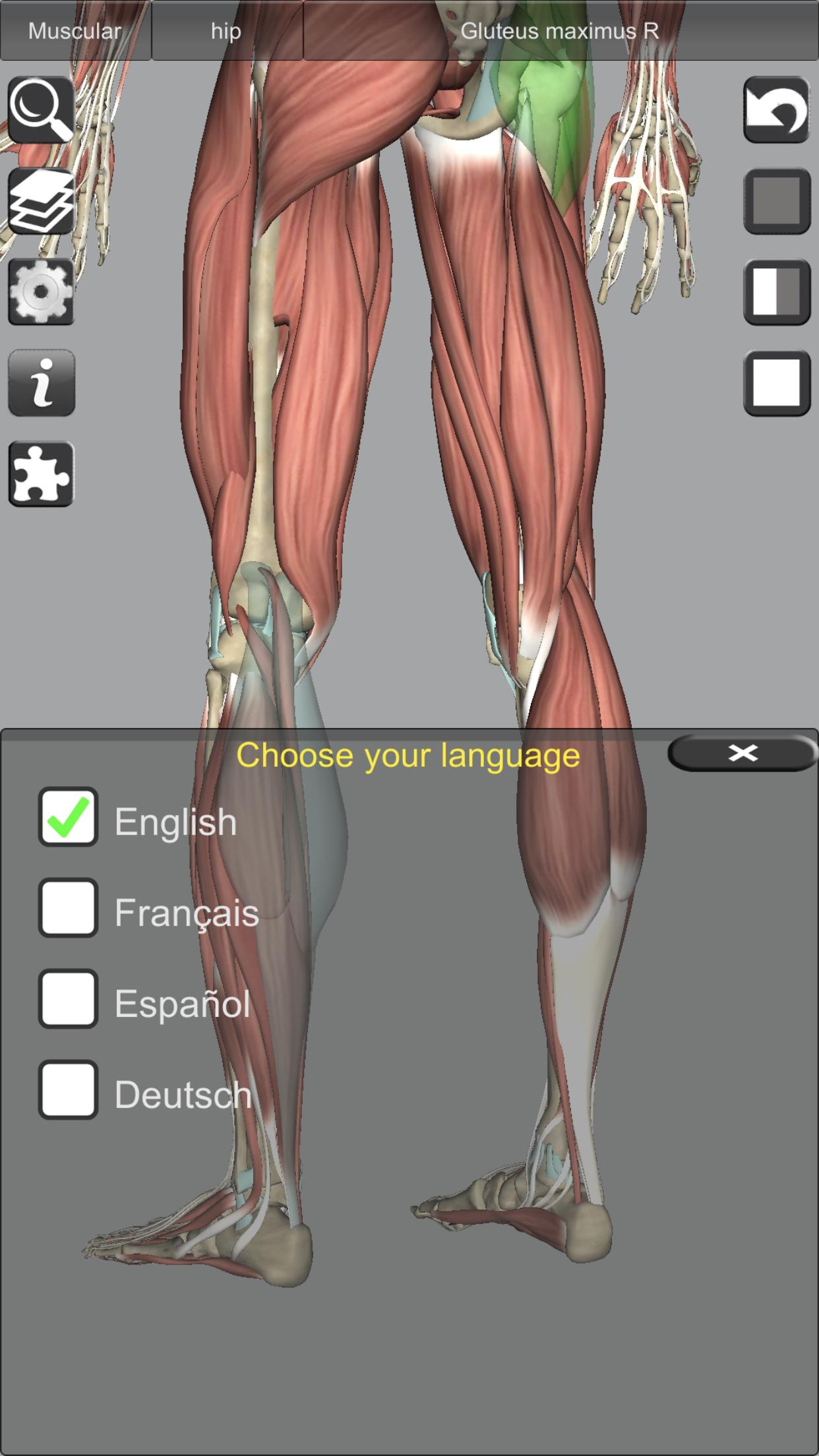 3D Bones and Organs (Anatomy) 4.1 Screenshot 16