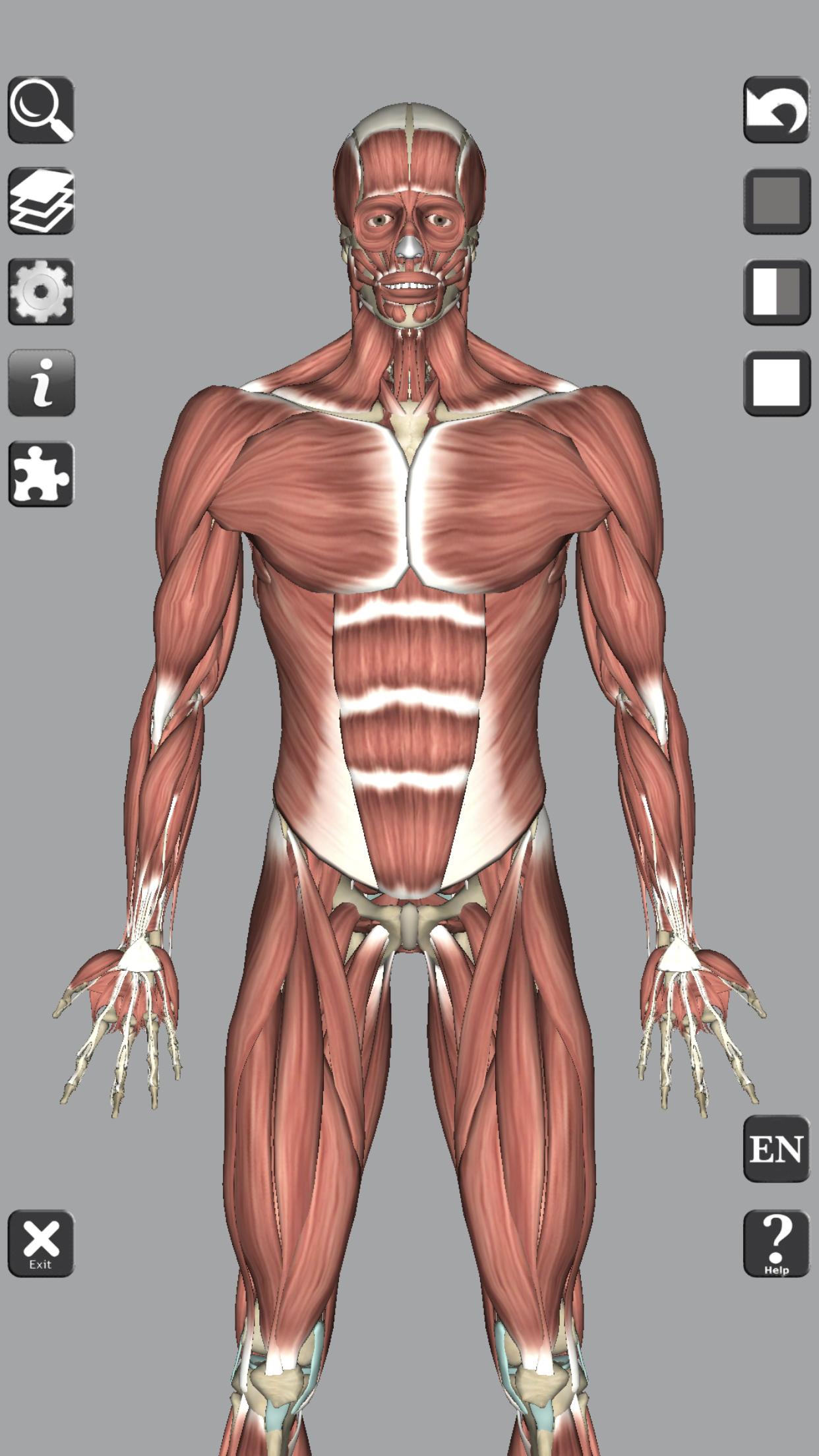 3D Bones and Organs (Anatomy) 4.1 Screenshot 2