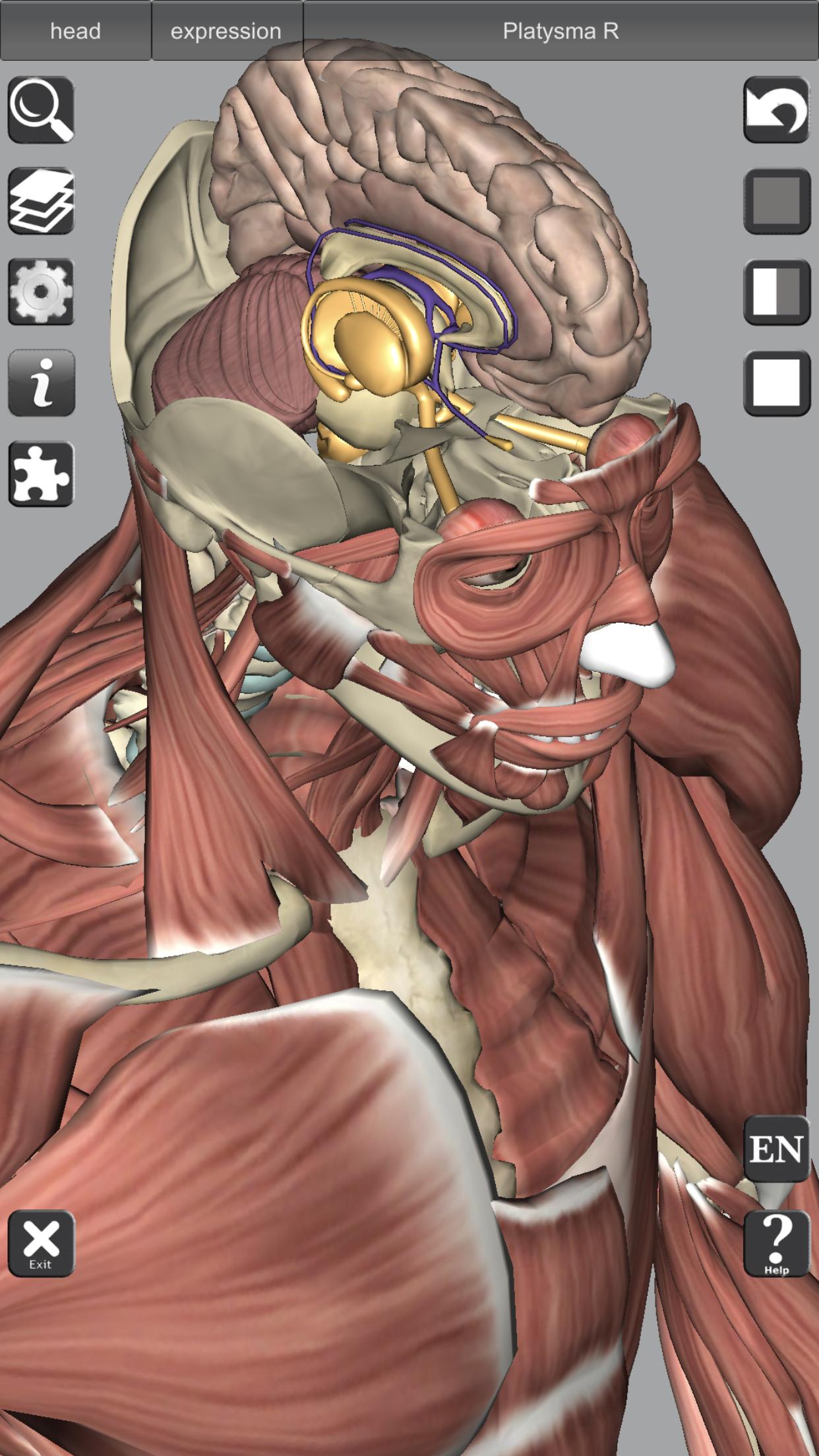 3D Bones and Organs (Anatomy) 4.1 Screenshot 5