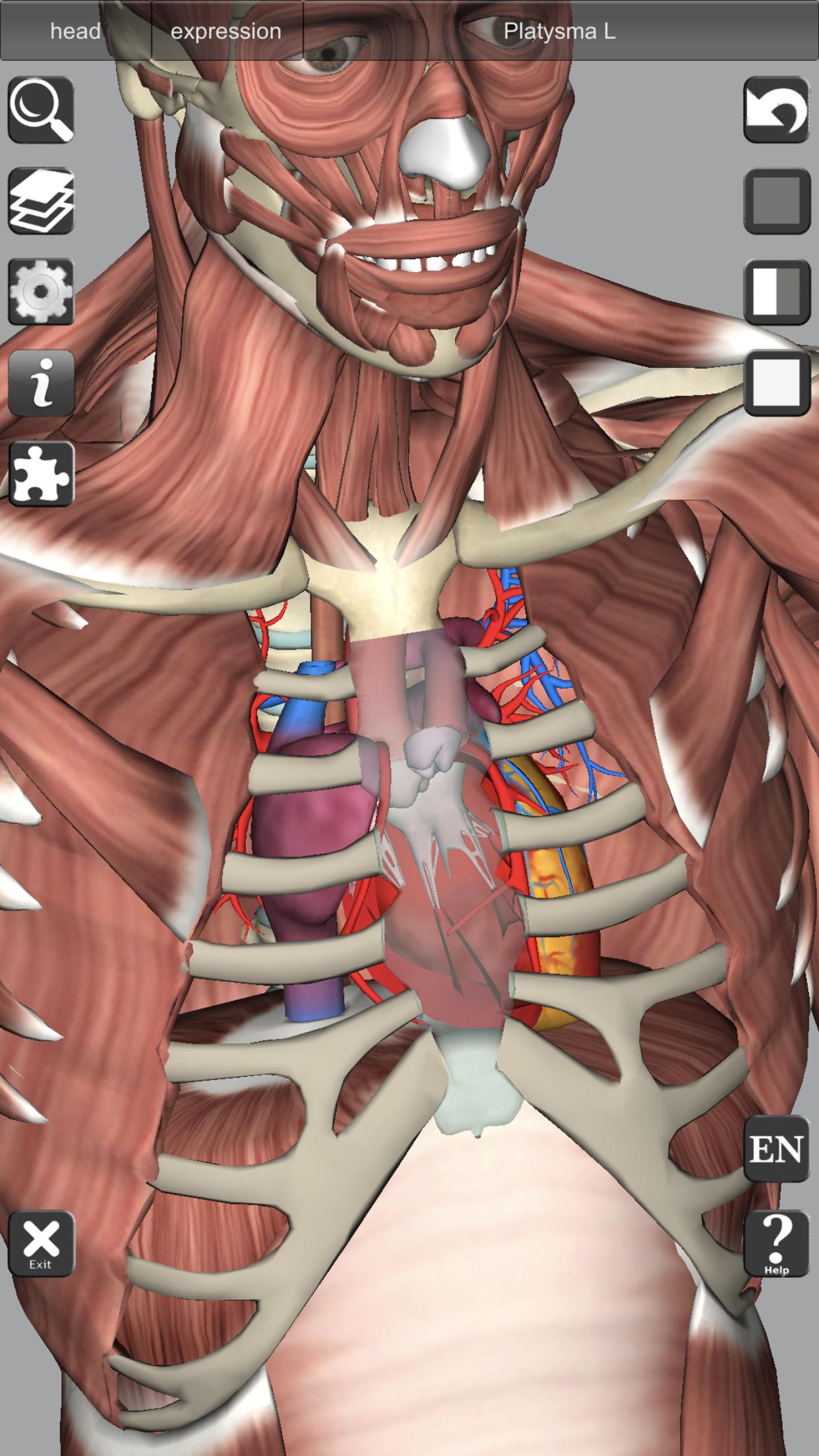 3D Bones and Organs (Anatomy) 4.1 Screenshot 7