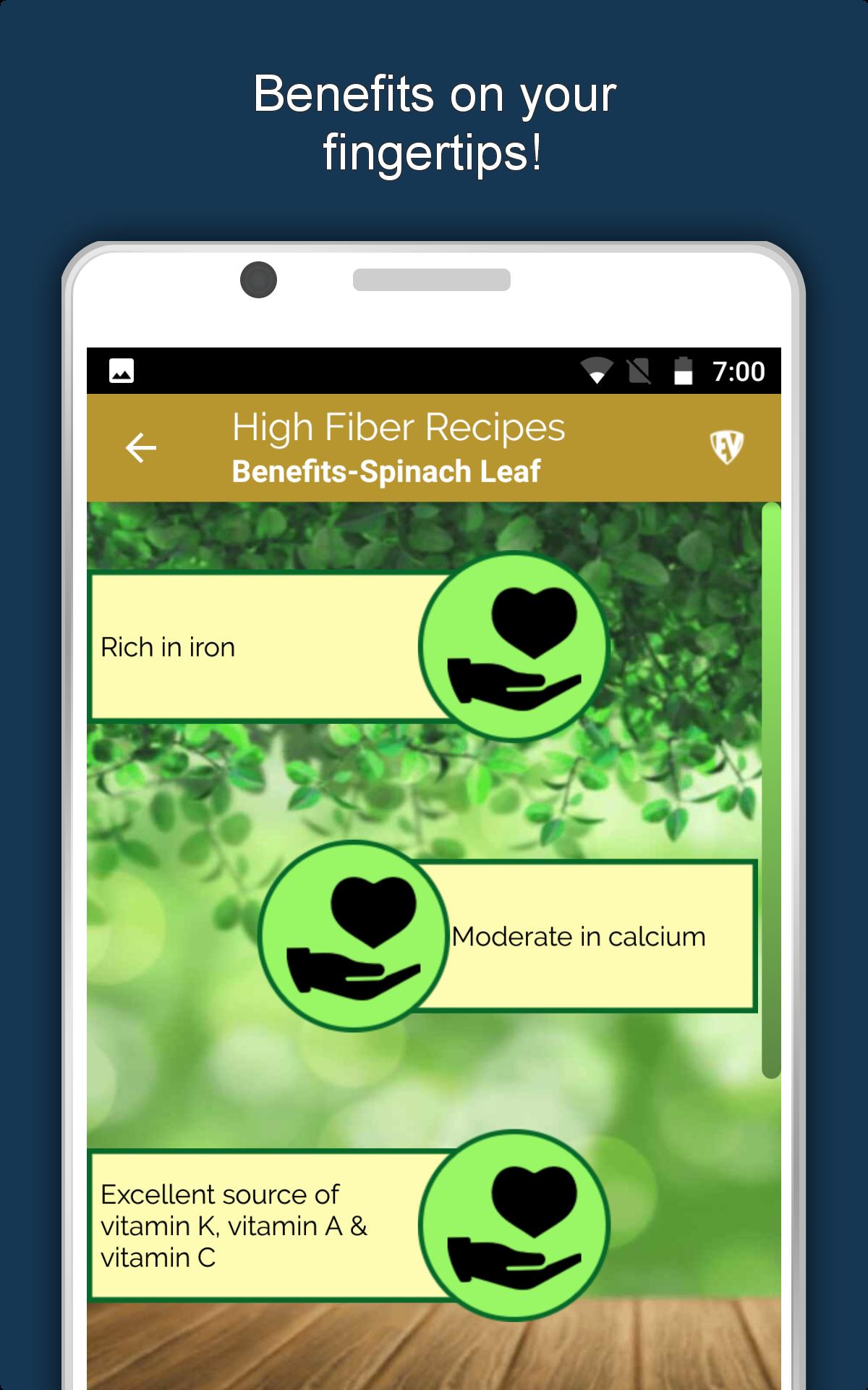 High Fiber Food Diet Recipes Offline, Antioxidants 1.1.8 Screenshot 16