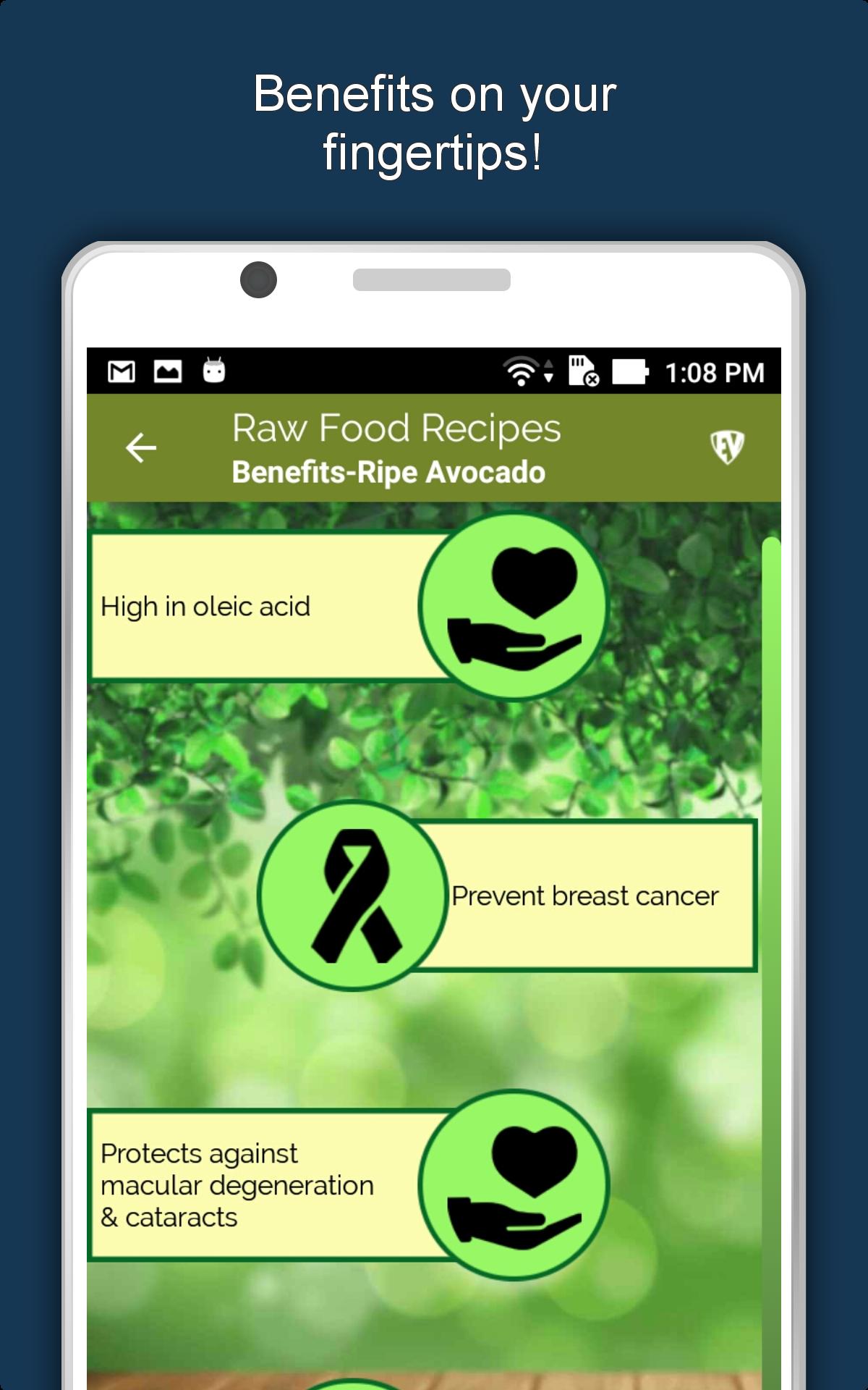 Raw Food Recipes Offline: Healthy, Nutritious Diet 1.1.9 Screenshot 16