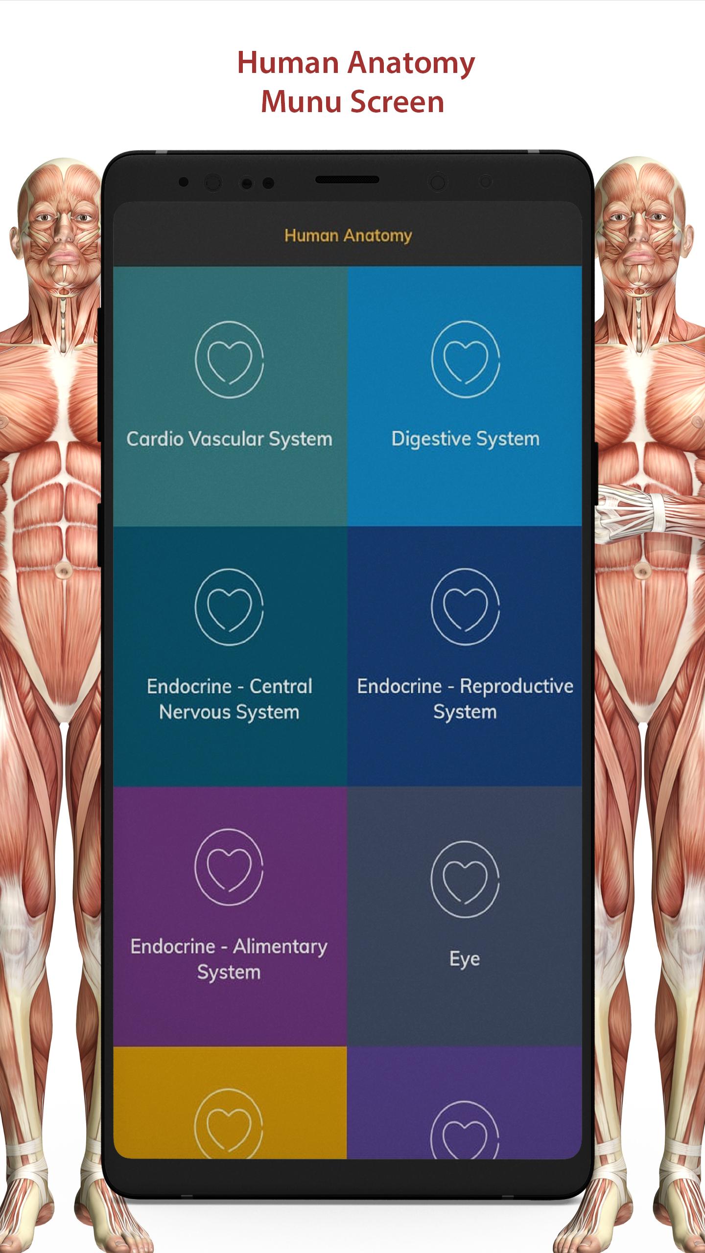 3D Human Anatomy Atlas Physiology: Internal Organs 1.3 Screenshot 1