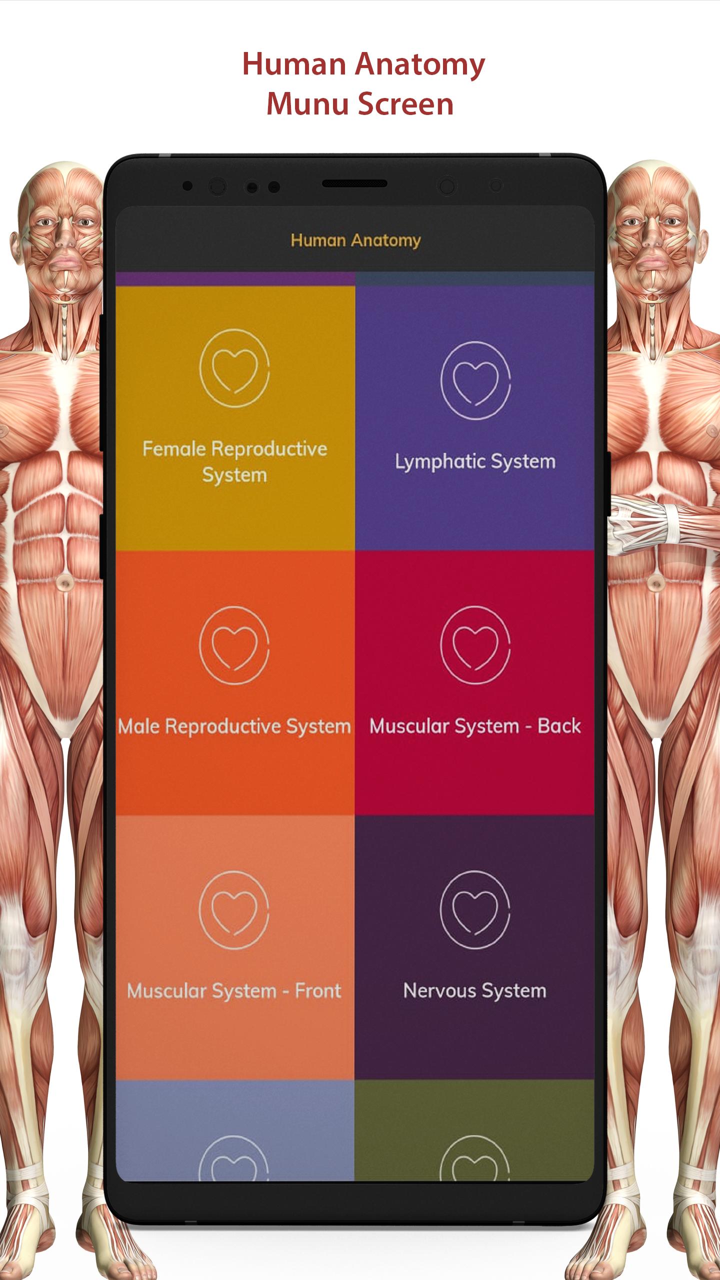 3D Human Anatomy Atlas Physiology: Internal Organs 1.3 Screenshot 16