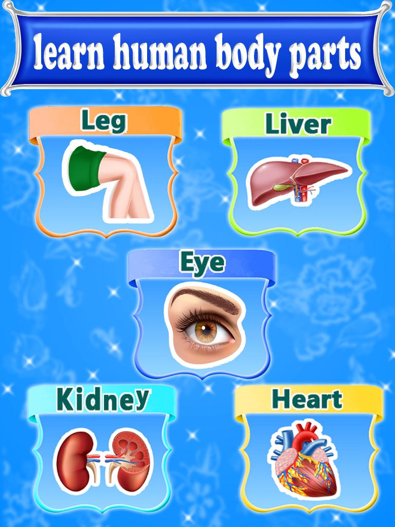 Learning Human Body Parts For Kids 1.0.8 Screenshot 2