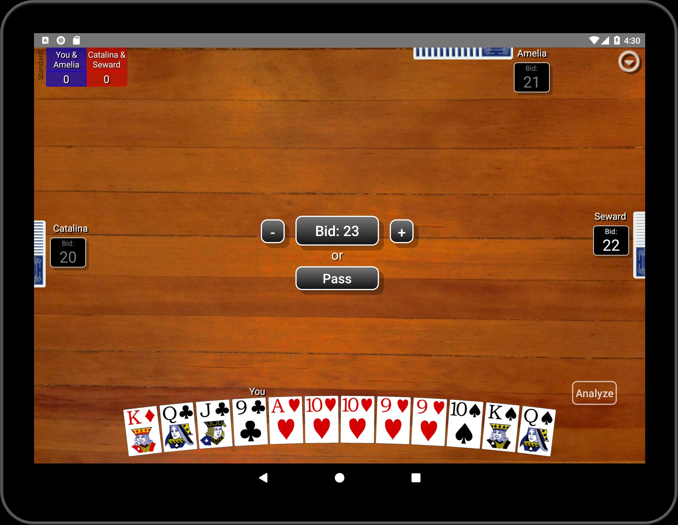 Pinochle Classic 1.9 Screenshot 10