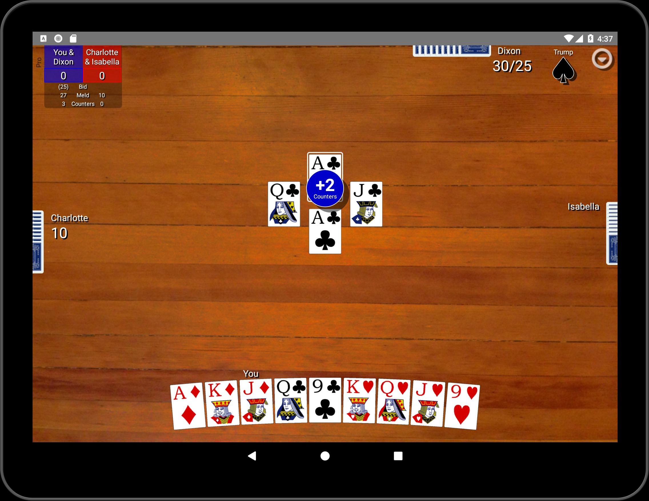 Pinochle Classic 1.9 Screenshot 9