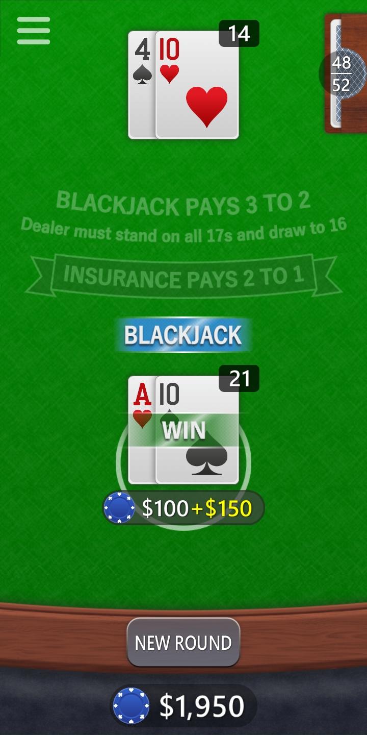 Blackjack 2.5 Screenshot 2