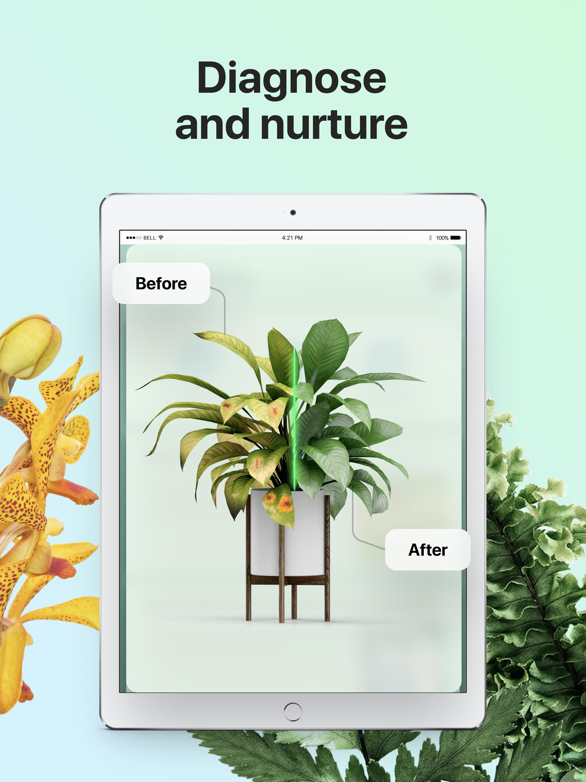 PictureThis Identify Plant, Flower, Weed and More 2.9.1 Screenshot 12