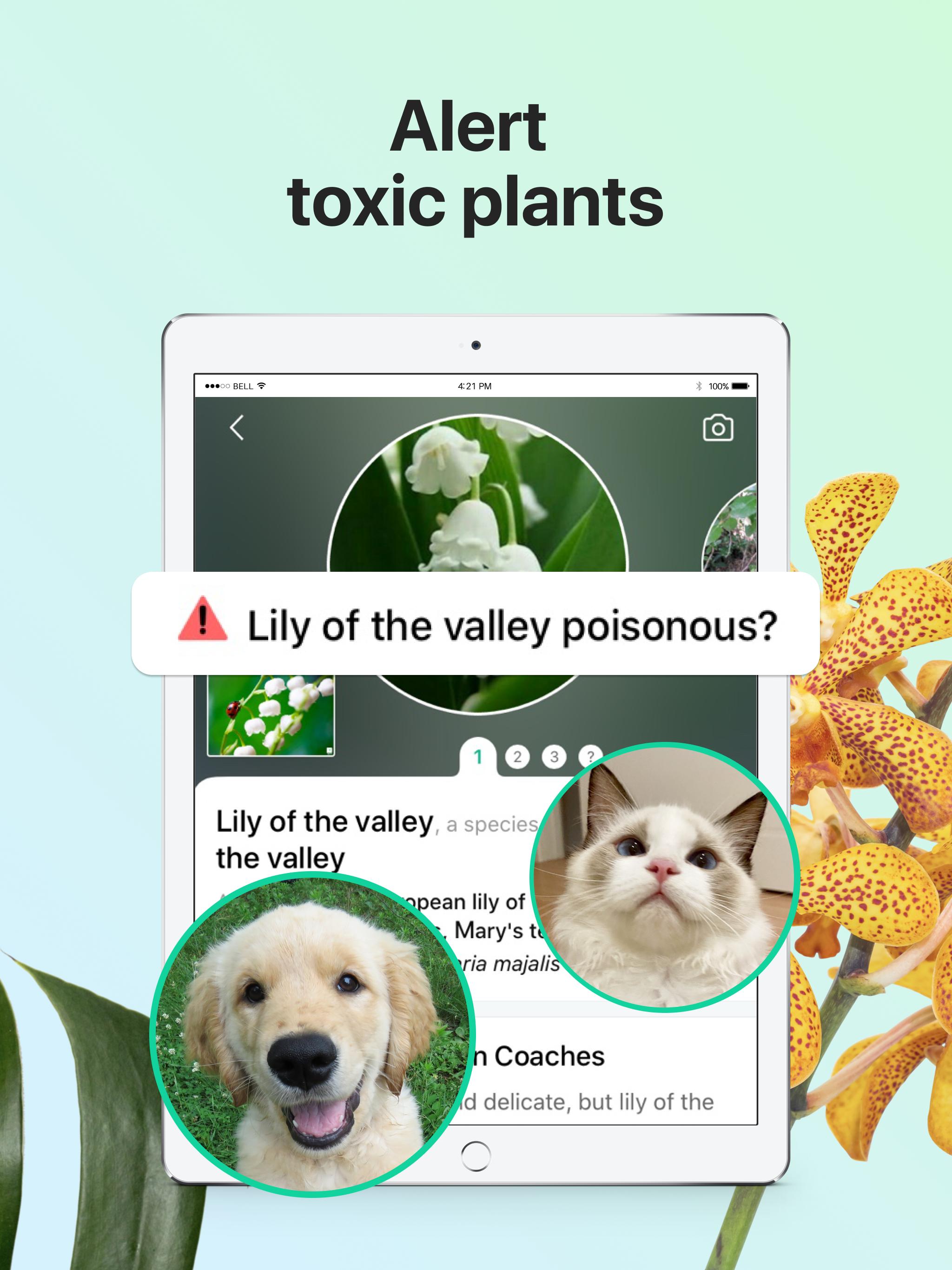 PictureThis Identify Plant, Flower, Weed and More 2.9.1 Screenshot 18