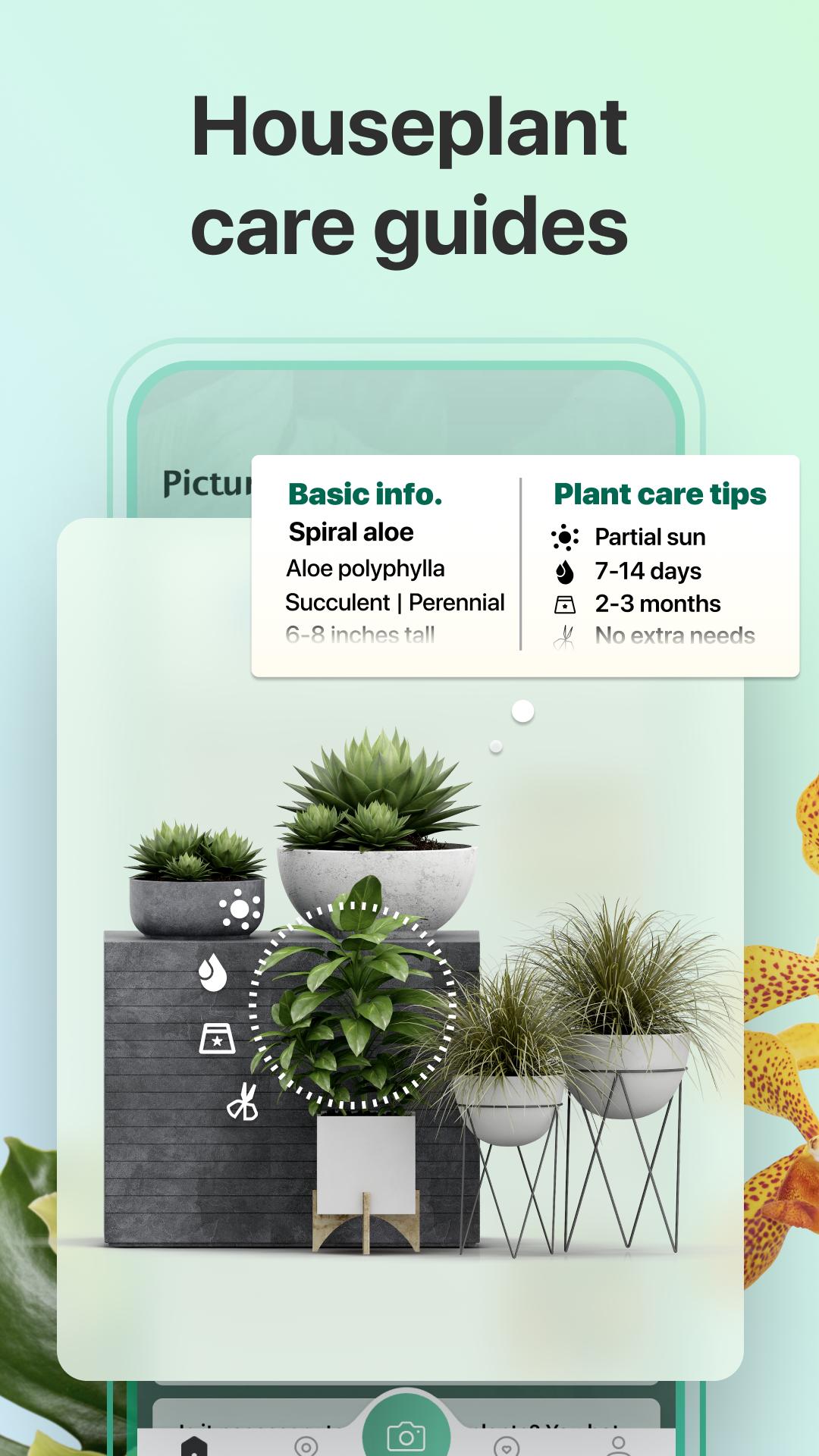 PictureThis Identify Plant, Flower, Weed and More 2.9.1 Screenshot 3