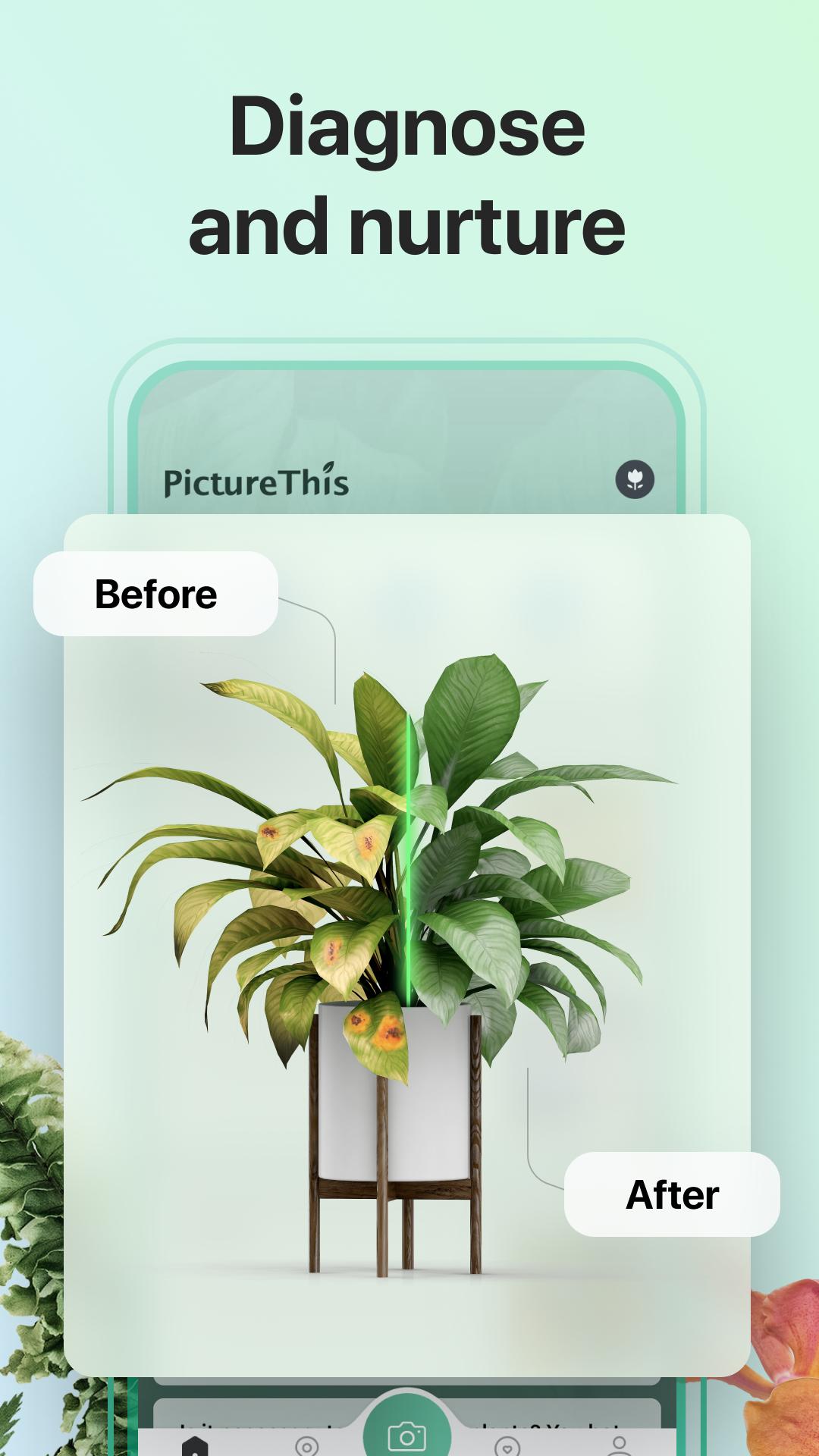 PictureThis Identify Plant, Flower, Weed and More 2.9.1 Screenshot 5