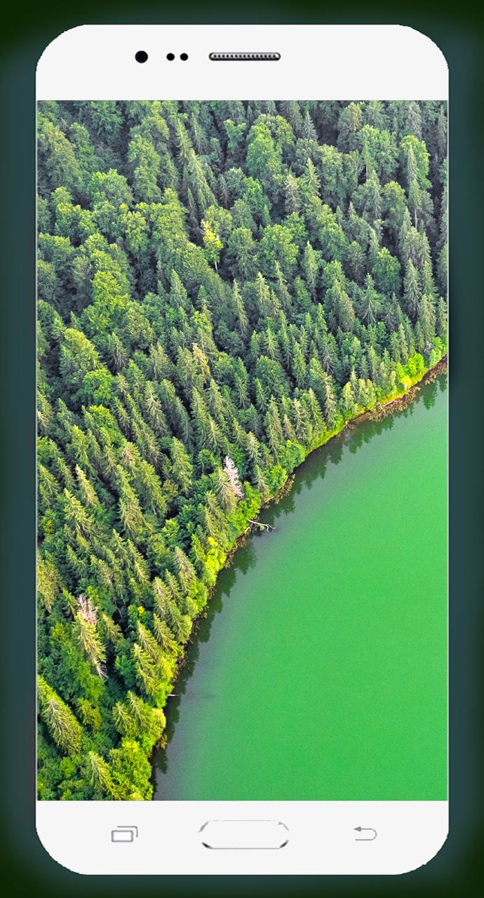 Forest Wallpaper HD 1.02 Screenshot 10