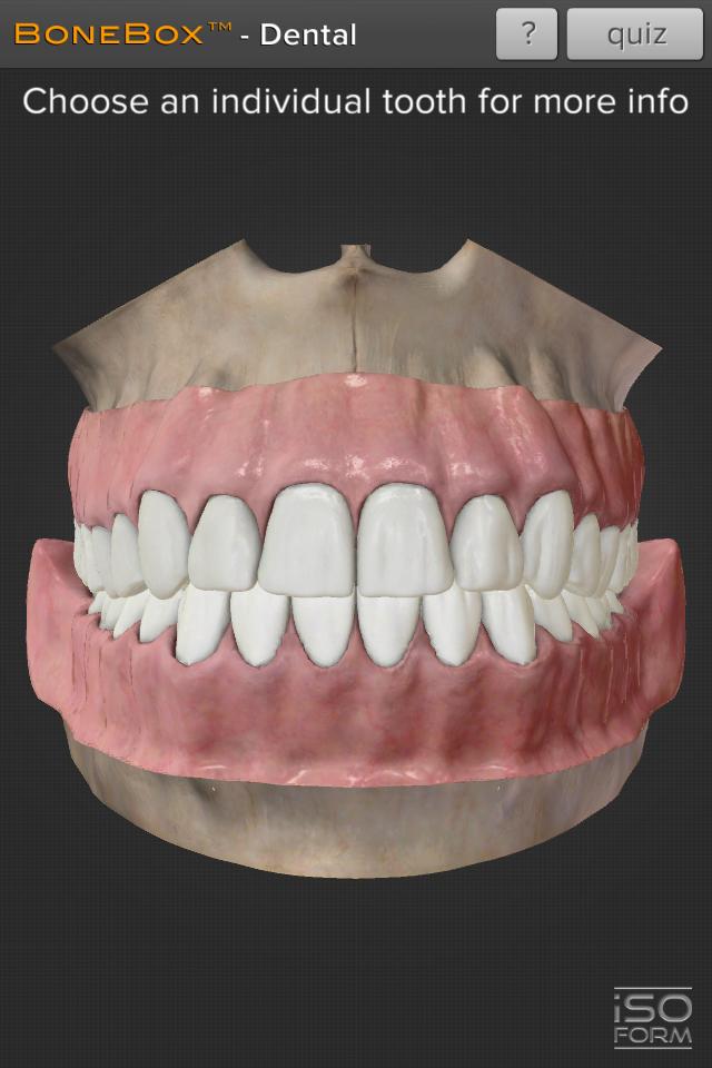 BoneBox™ - Dental Lite 1.1 Screenshot 1
