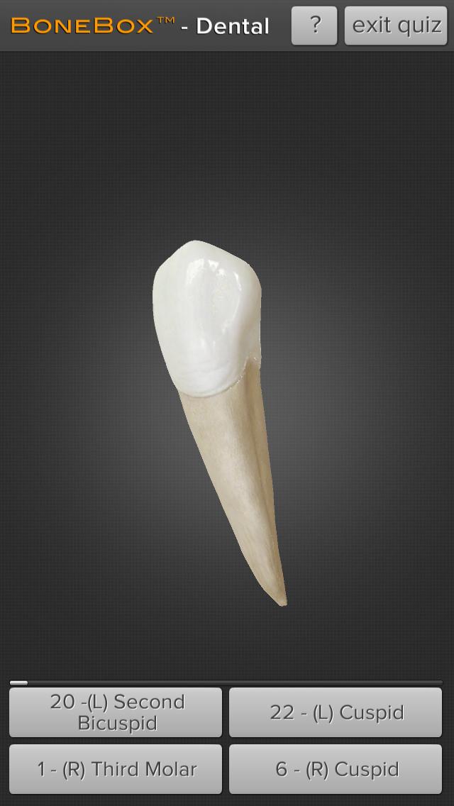 BoneBox™ - Dental Lite 1.1 Screenshot 2