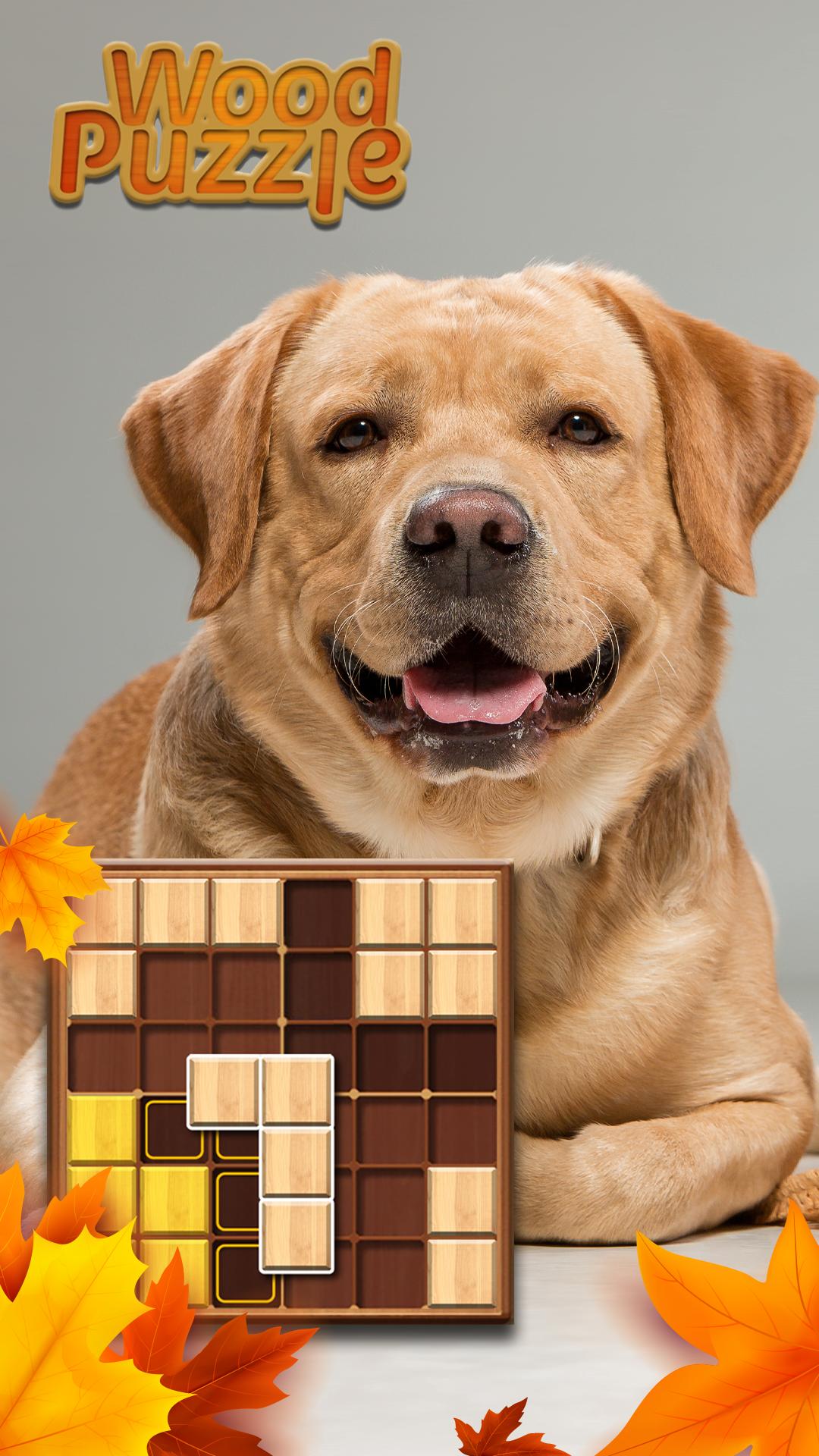 Wood Block Puzzle - Sudoku Block Game 1.0.6 Screenshot 10