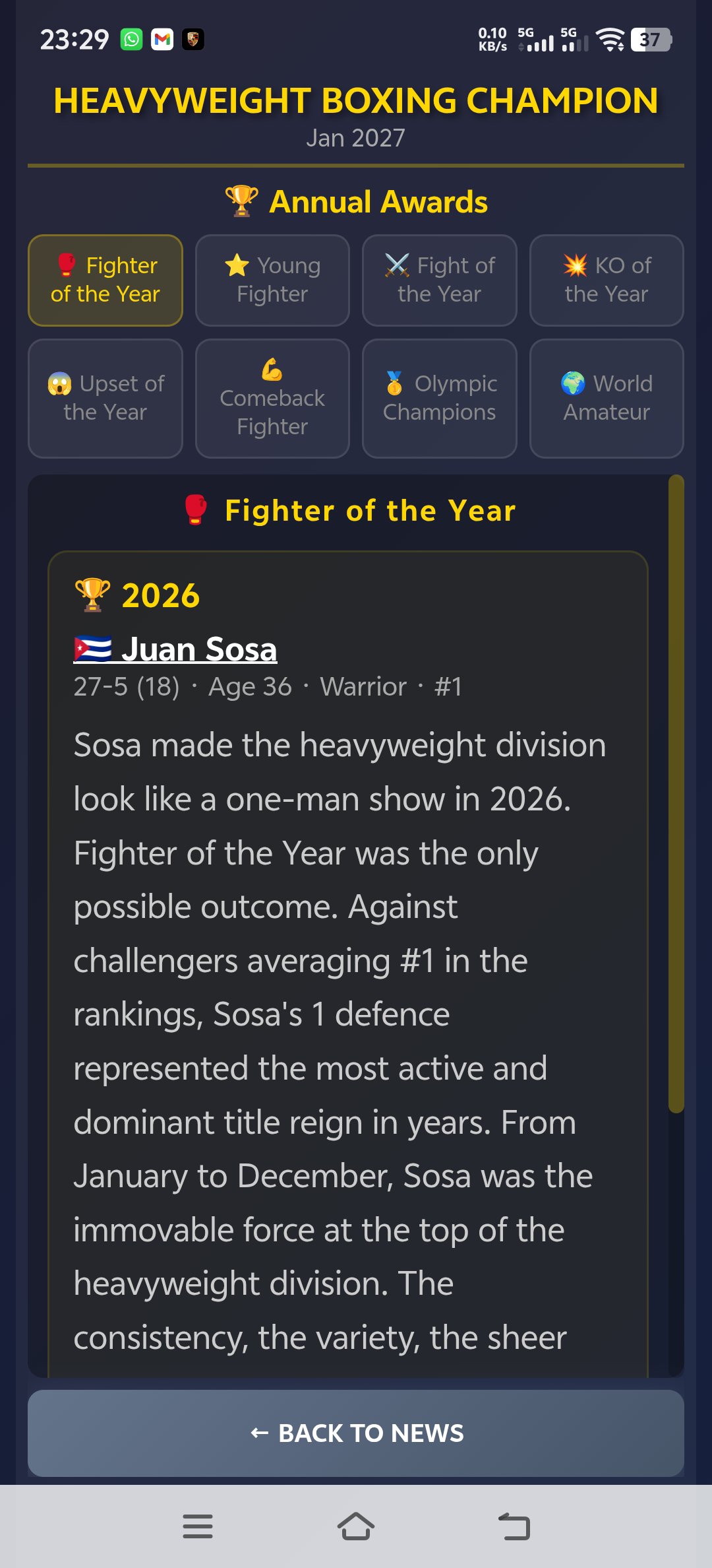 Sim: Heavyweight Boxing 10.2 Screenshot 24
