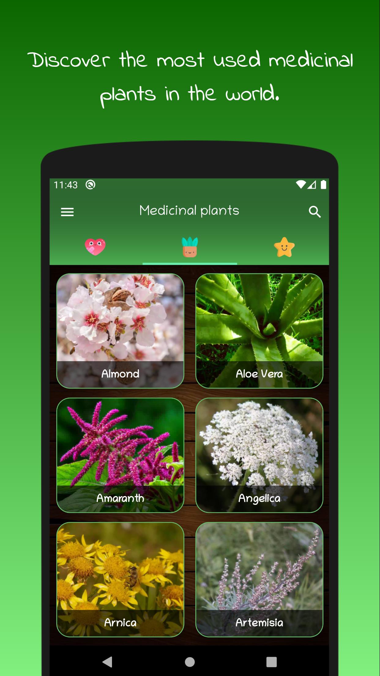myRemedy Medicinal plants and their uses 3.9 Screenshot 1
