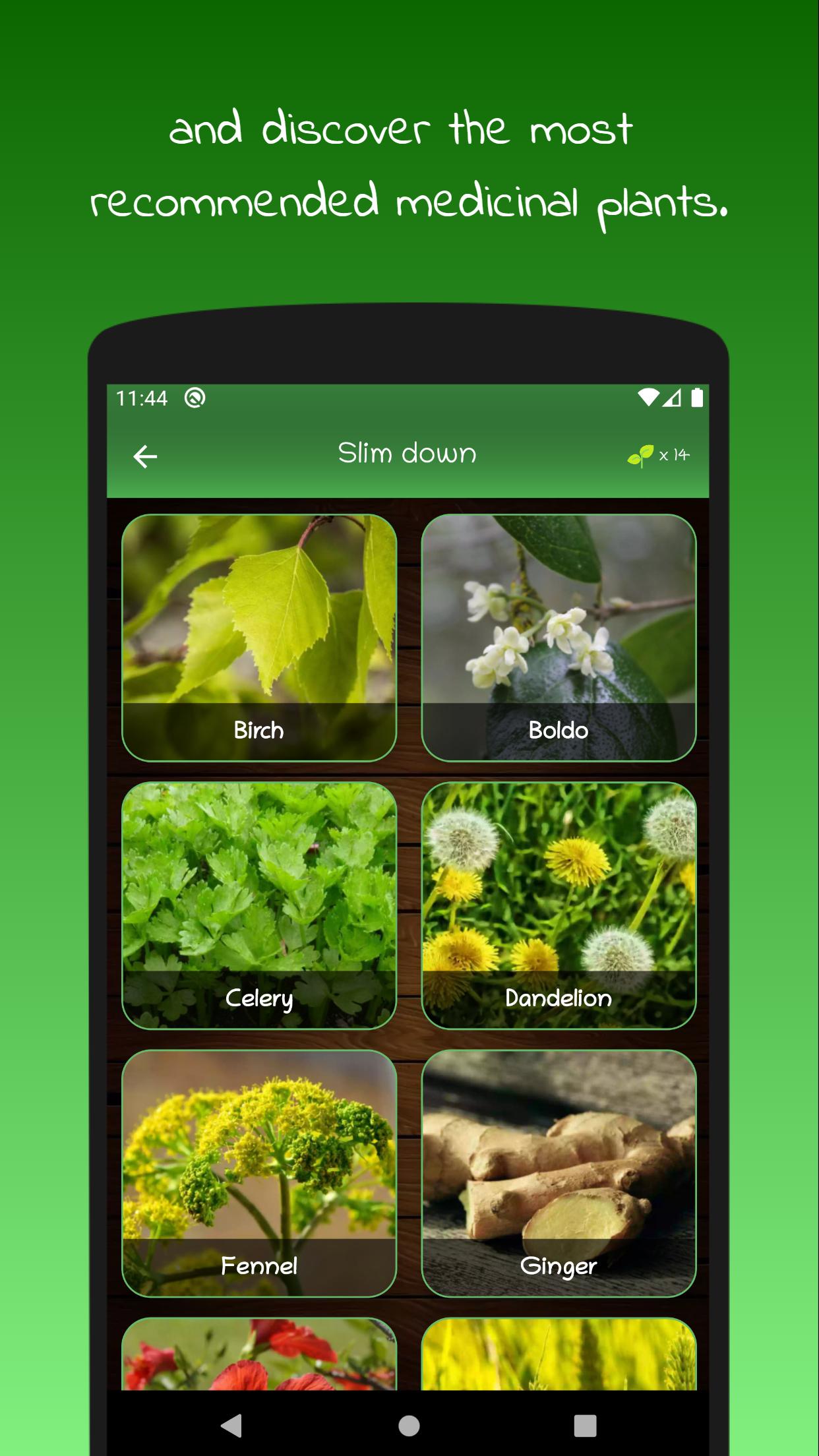 myRemedy Medicinal plants and their uses 3.9 Screenshot 3