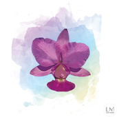 Orquideas App app icon
