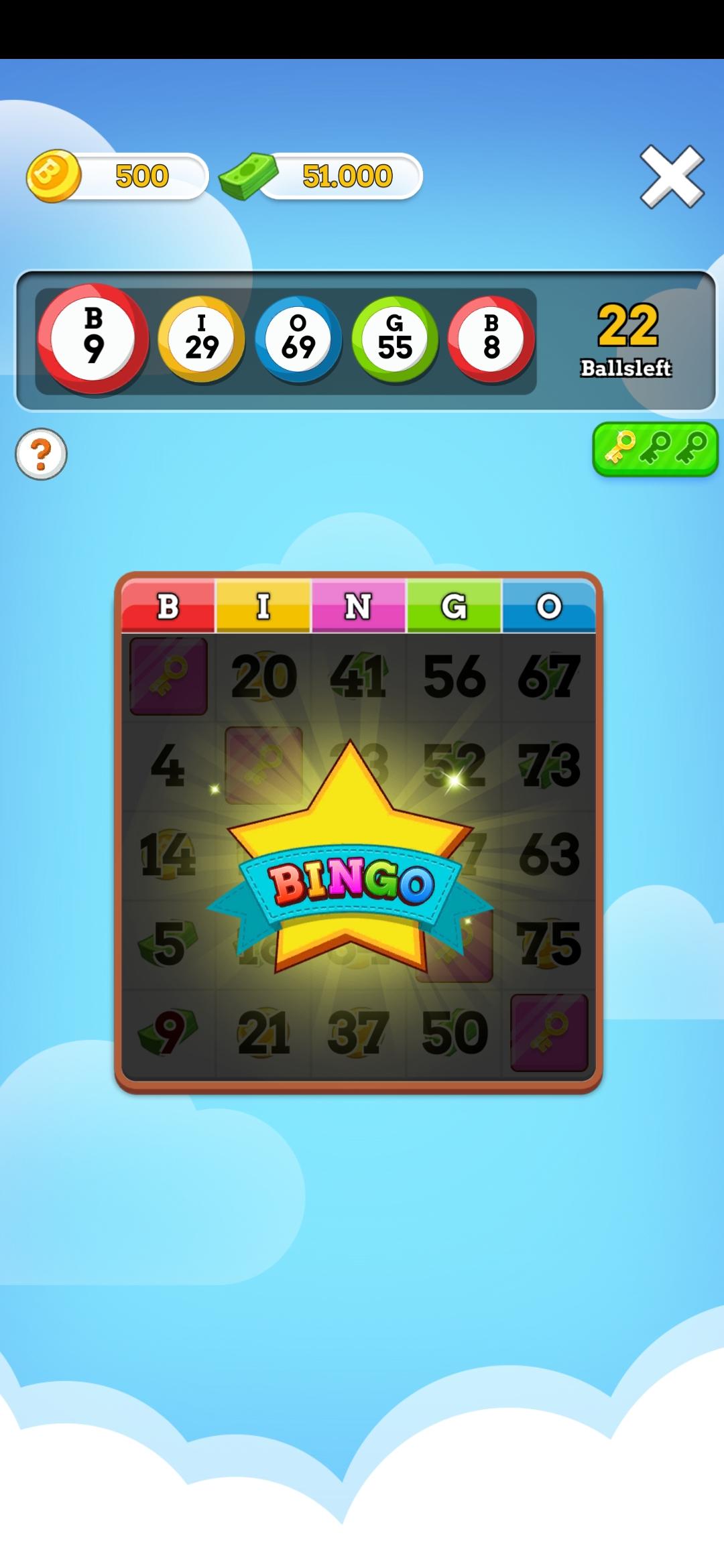 Bingo Master 1.0.2 Screenshot 12