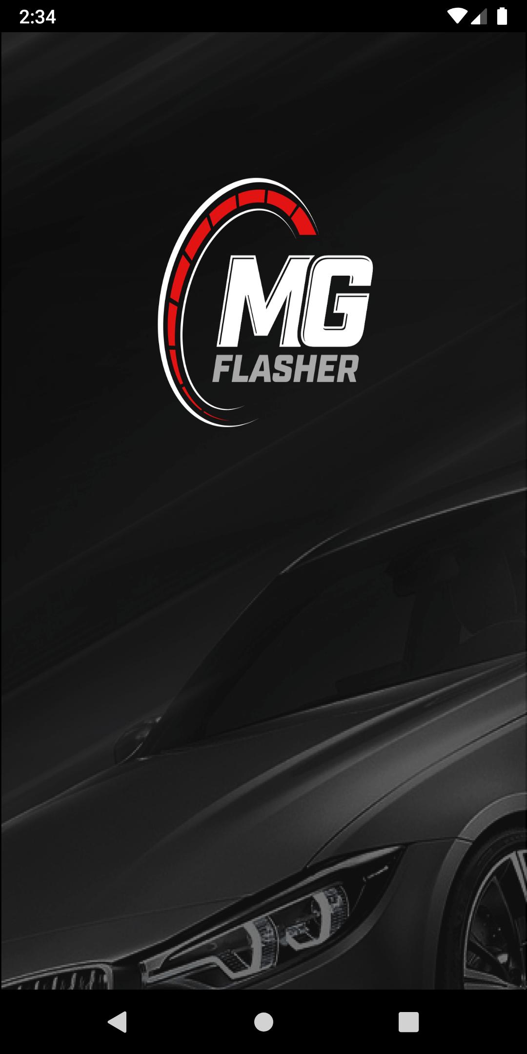 MG Flasher 301 Screenshot 1