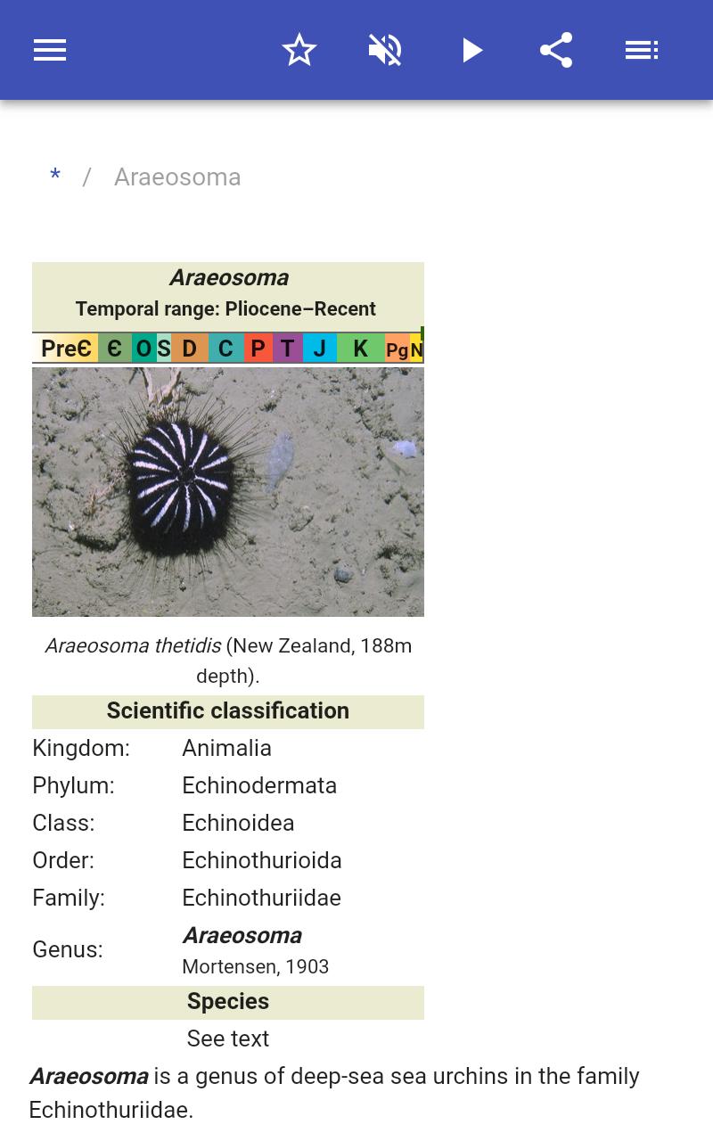 Sea urchins 80.91.30 Screenshot 12