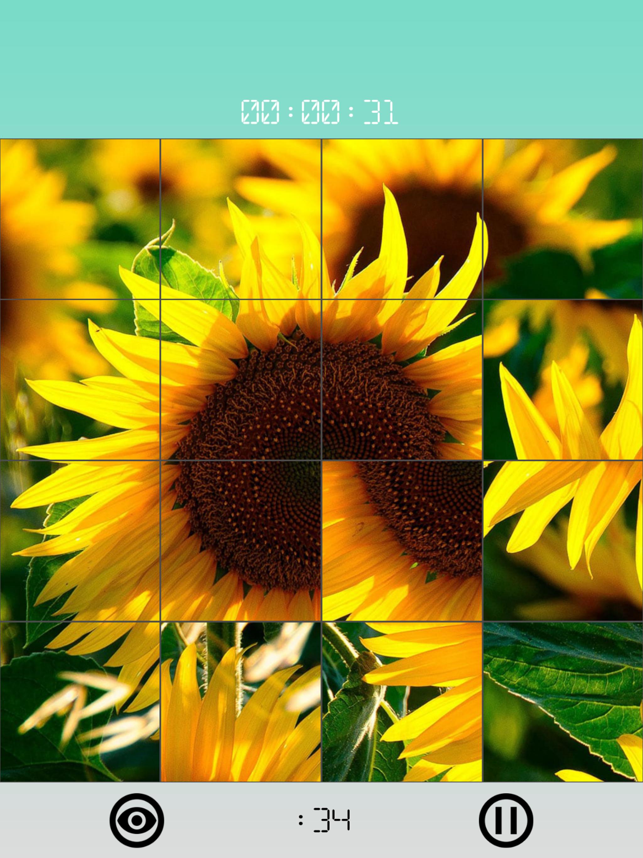 Images 15 Puzzles 1.2.3 Screenshot 15