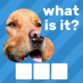 Zoom Quiz Close Up Pics Game, Guess the Word app icon
