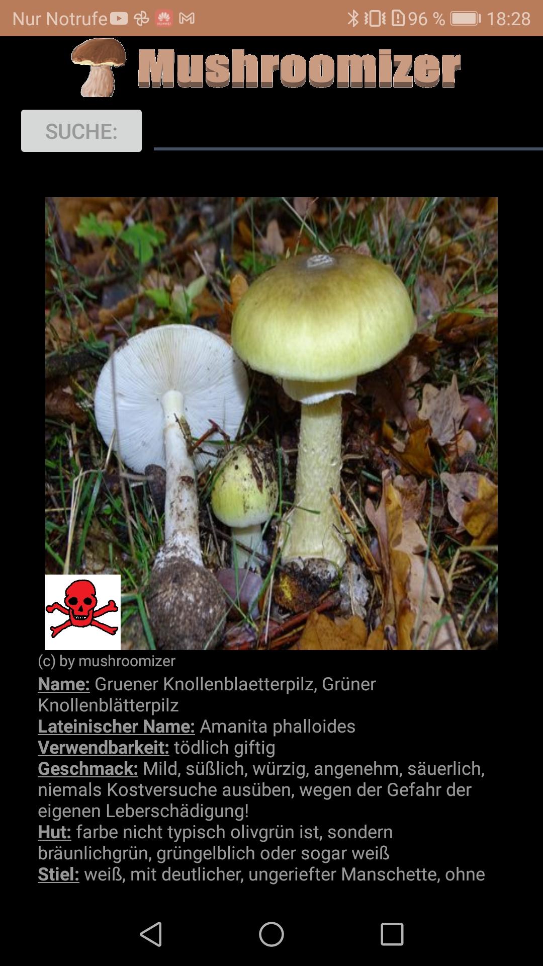 Mushroomizer 1.5.1 Screenshot 4