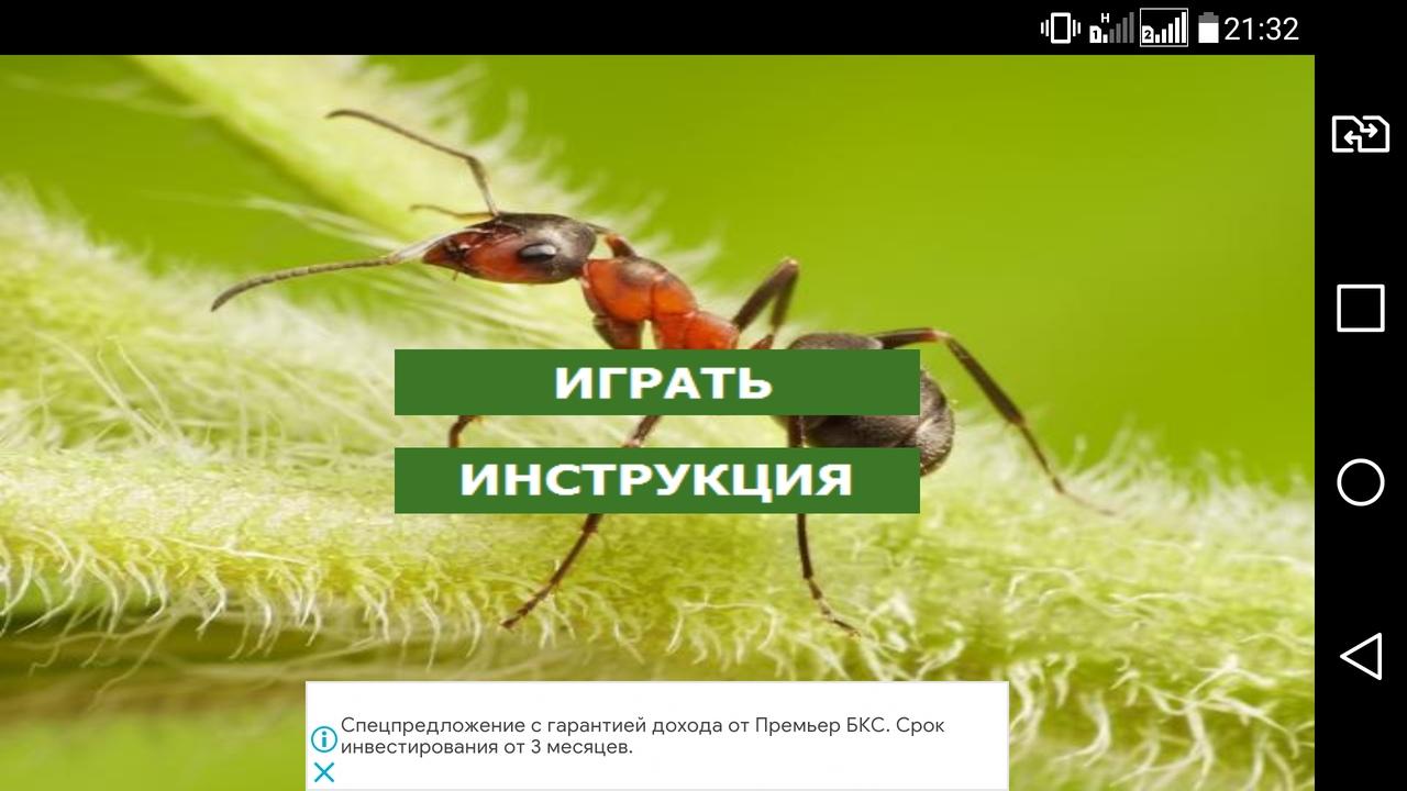 AntLive Муравьиный симулятор 0.0.6 Screenshot 1