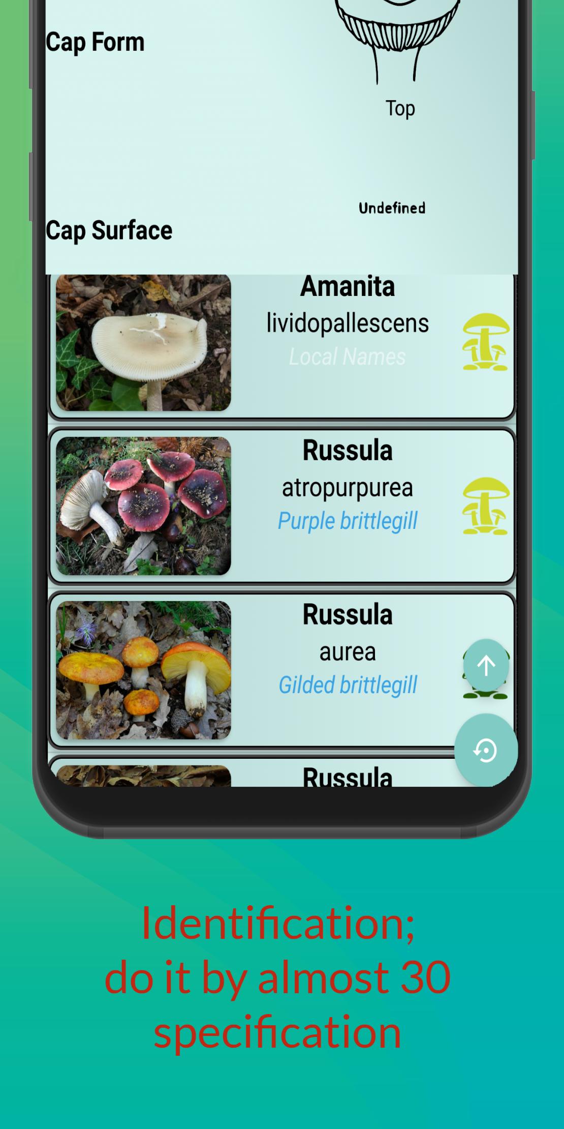 Mushroom Hunter's Guide 1.28 Screenshot 2