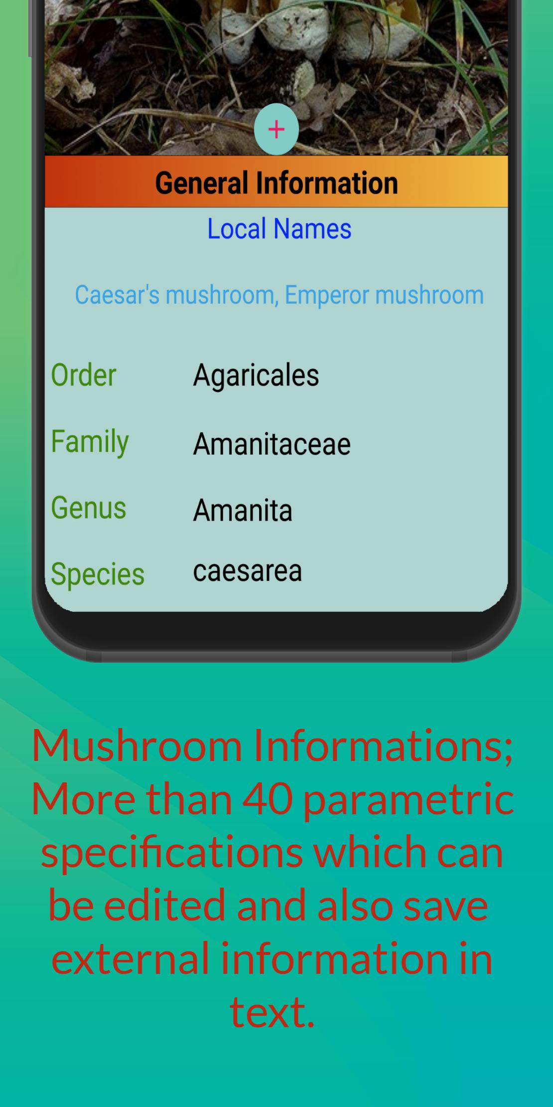 Mushroom Hunter's Guide 1.28 Screenshot 4