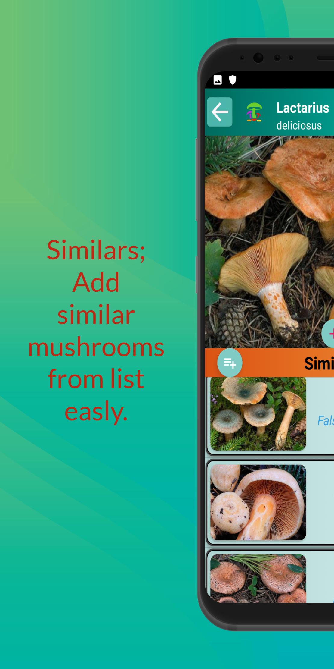 Mushroom Hunter's Guide 1.28 Screenshot 5