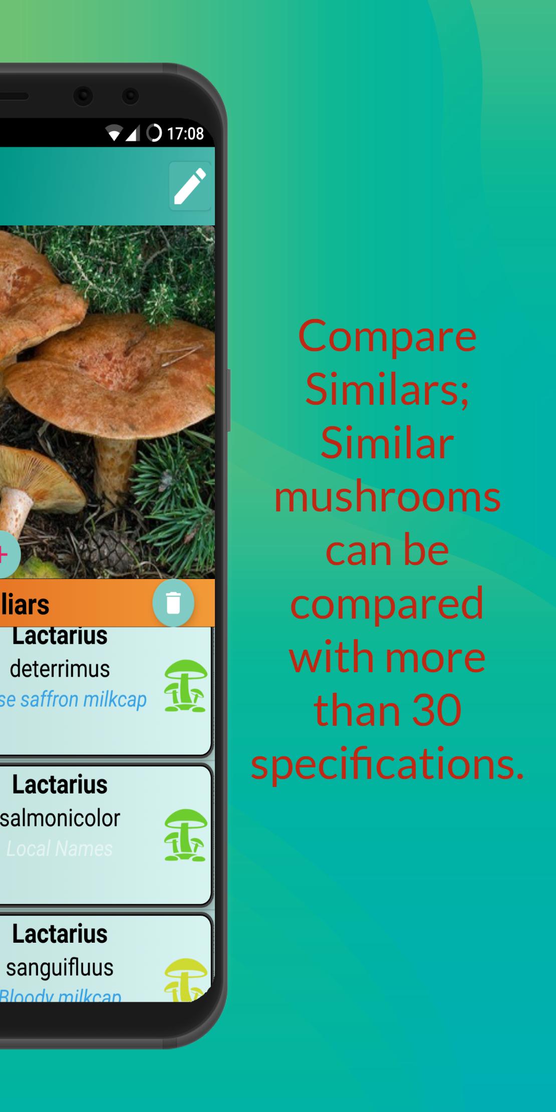 Mushroom Hunter's Guide 1.28 Screenshot 6