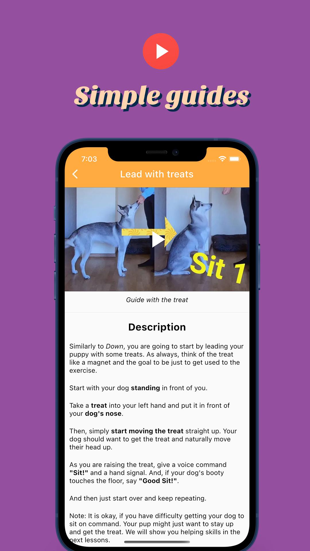 Pocket Puppy School 2021.05.17 Screenshot 2