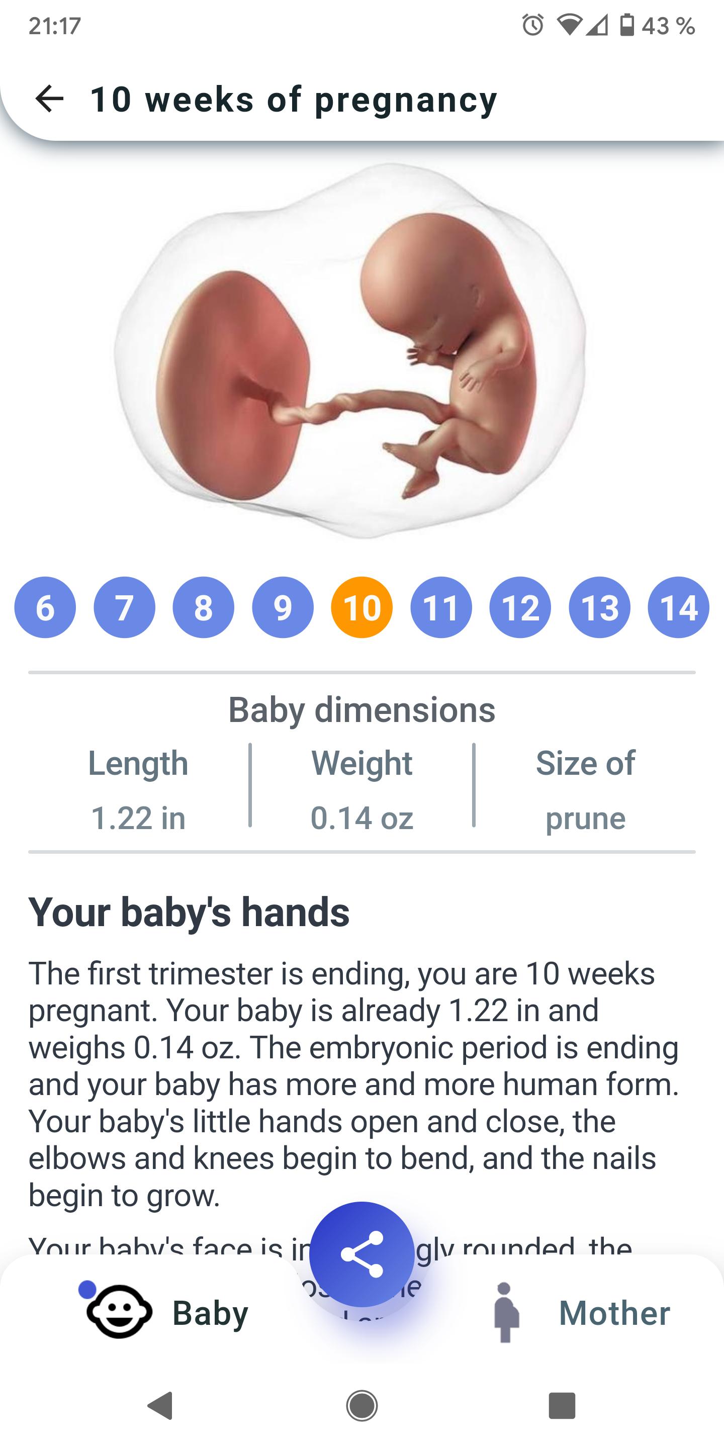 My Pregnancy Tracker Week by Week + Due Date 2.0.37 Screenshot 2